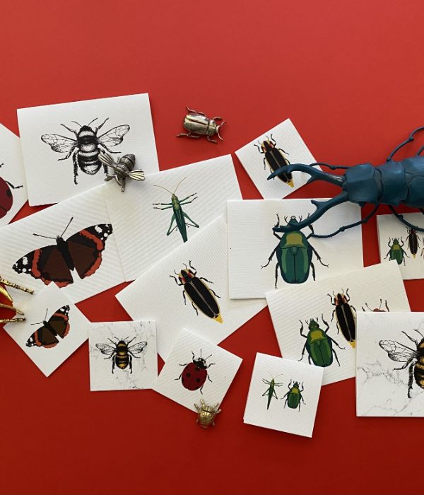 INSECTOS