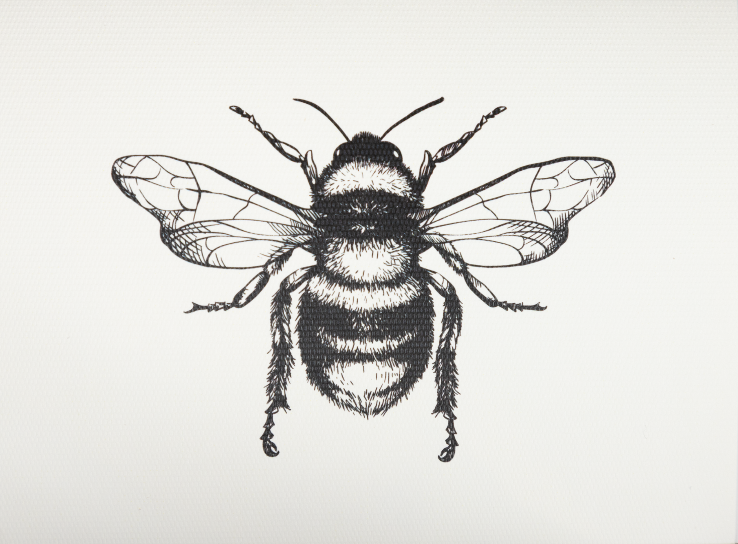 Medium B/W Bee Card