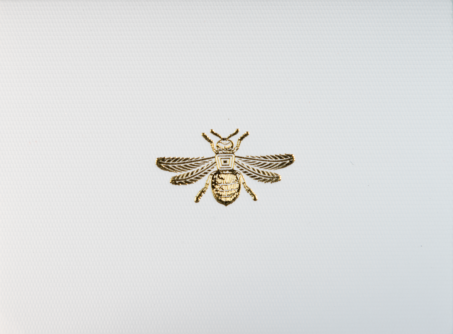 Double Girl Top Bee Card