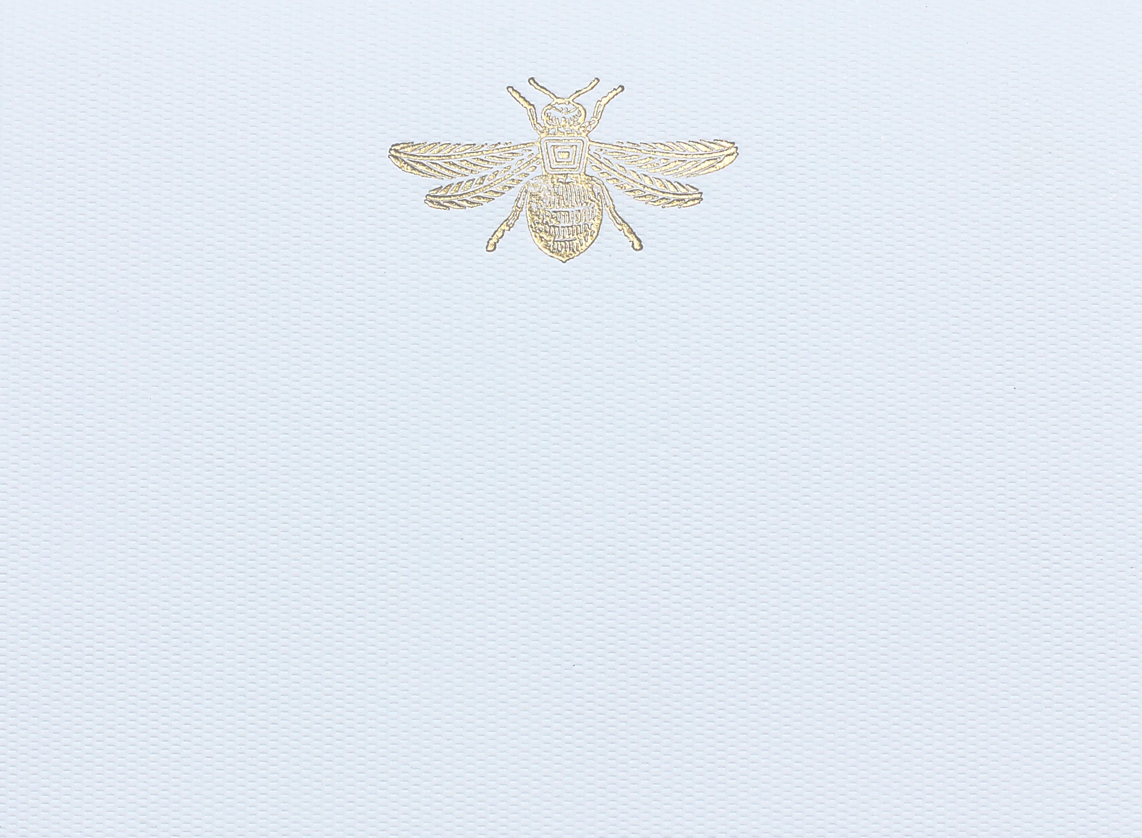 Place Cards Abeja grandes