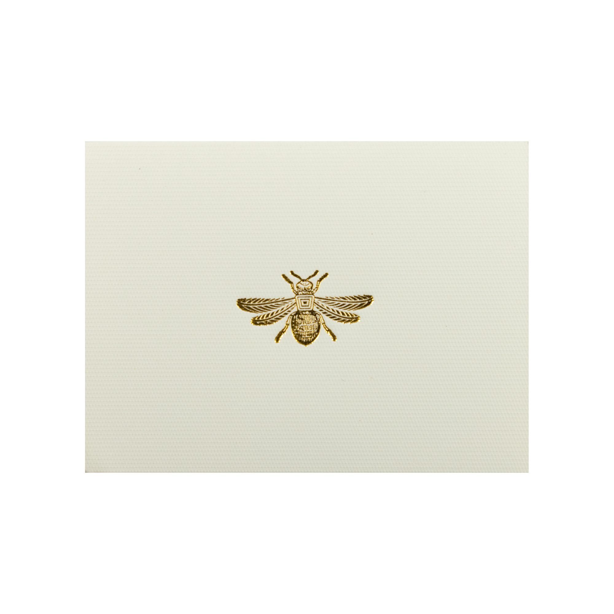 Tarjeta Abeja Chica Doble