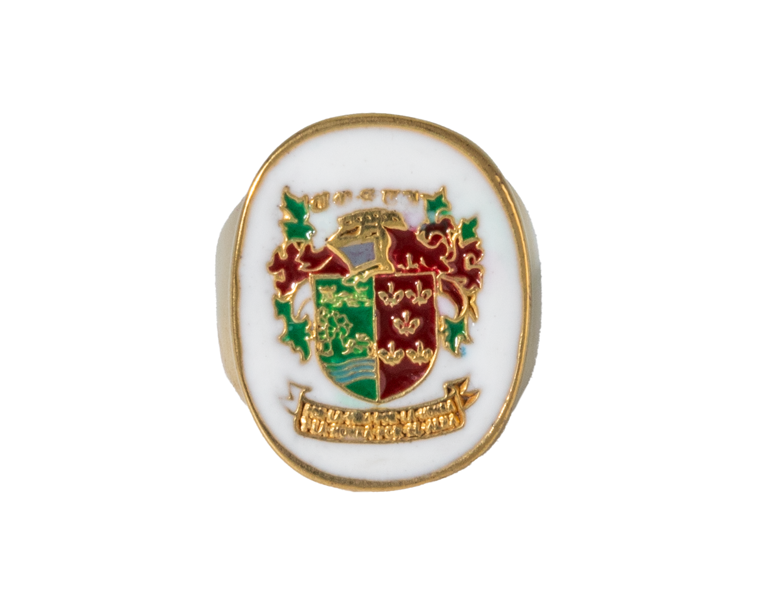 Costi family heraldic enamel