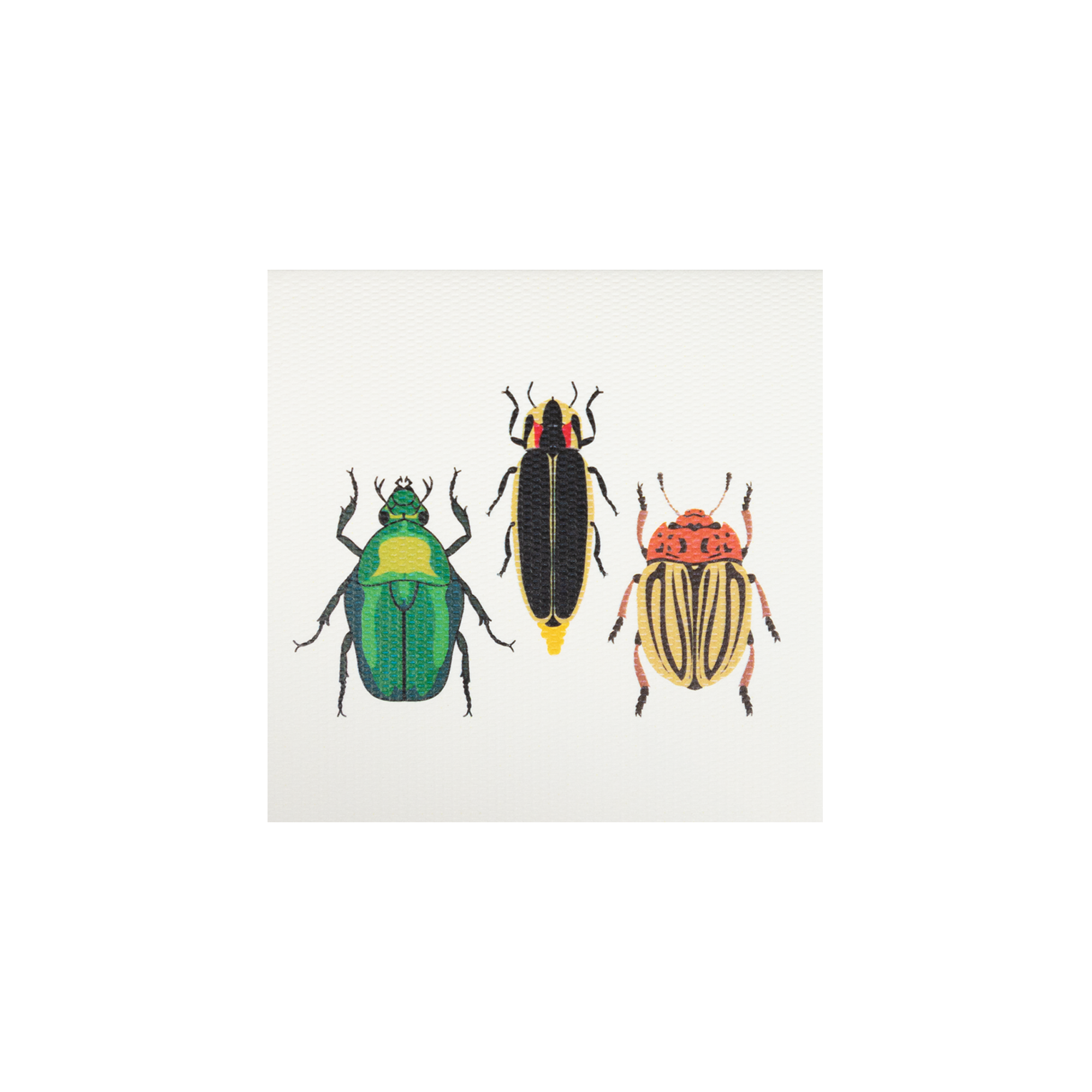Mini Cicada Beetles Card