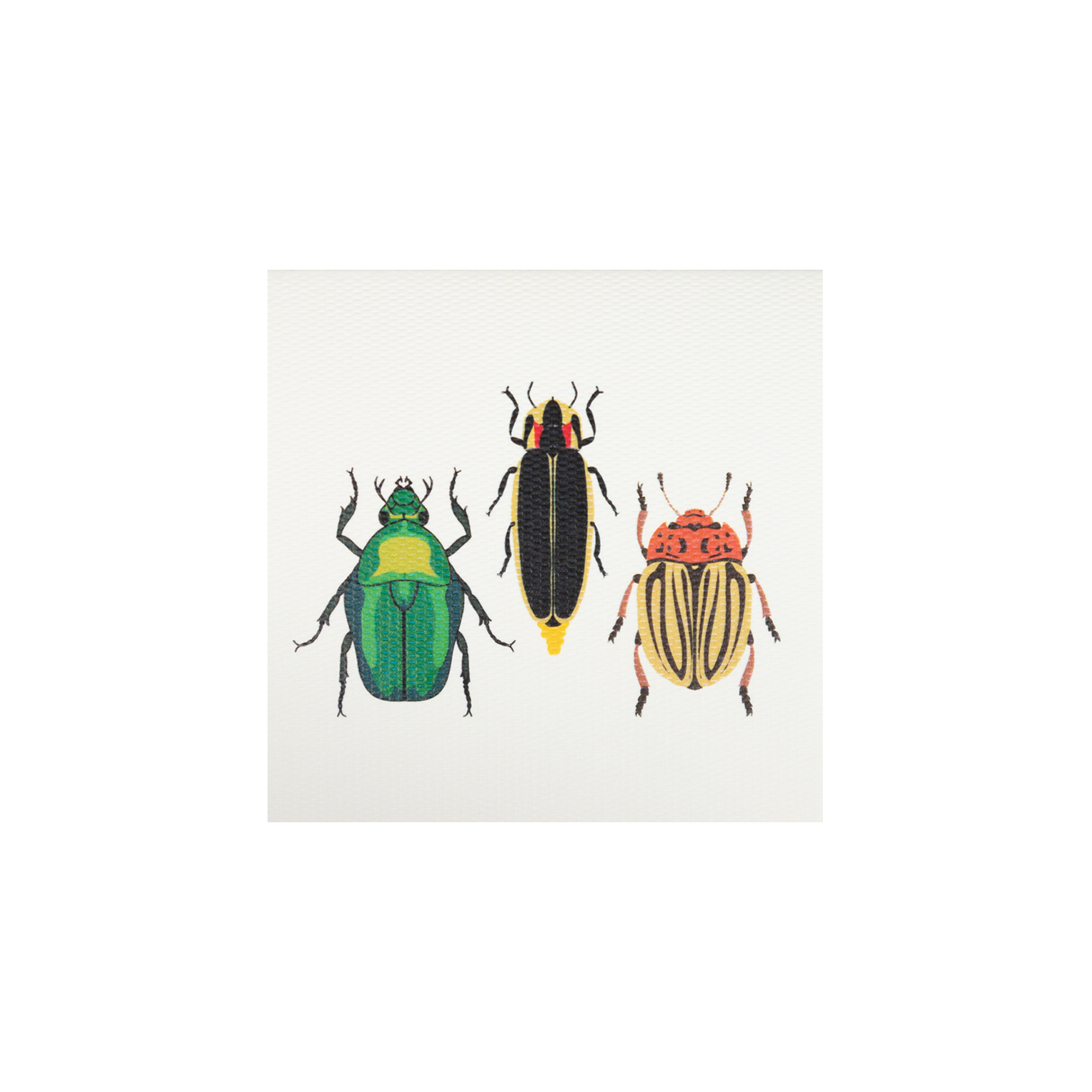 Tarjeta Escarabajos Chicharra Mini
