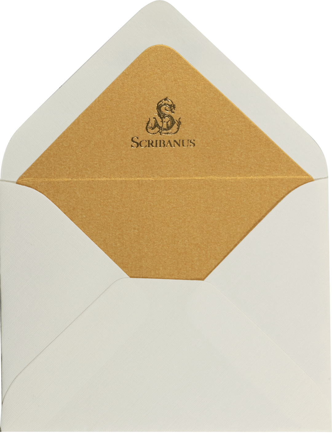 Envelope Boy Beige Golden Lining