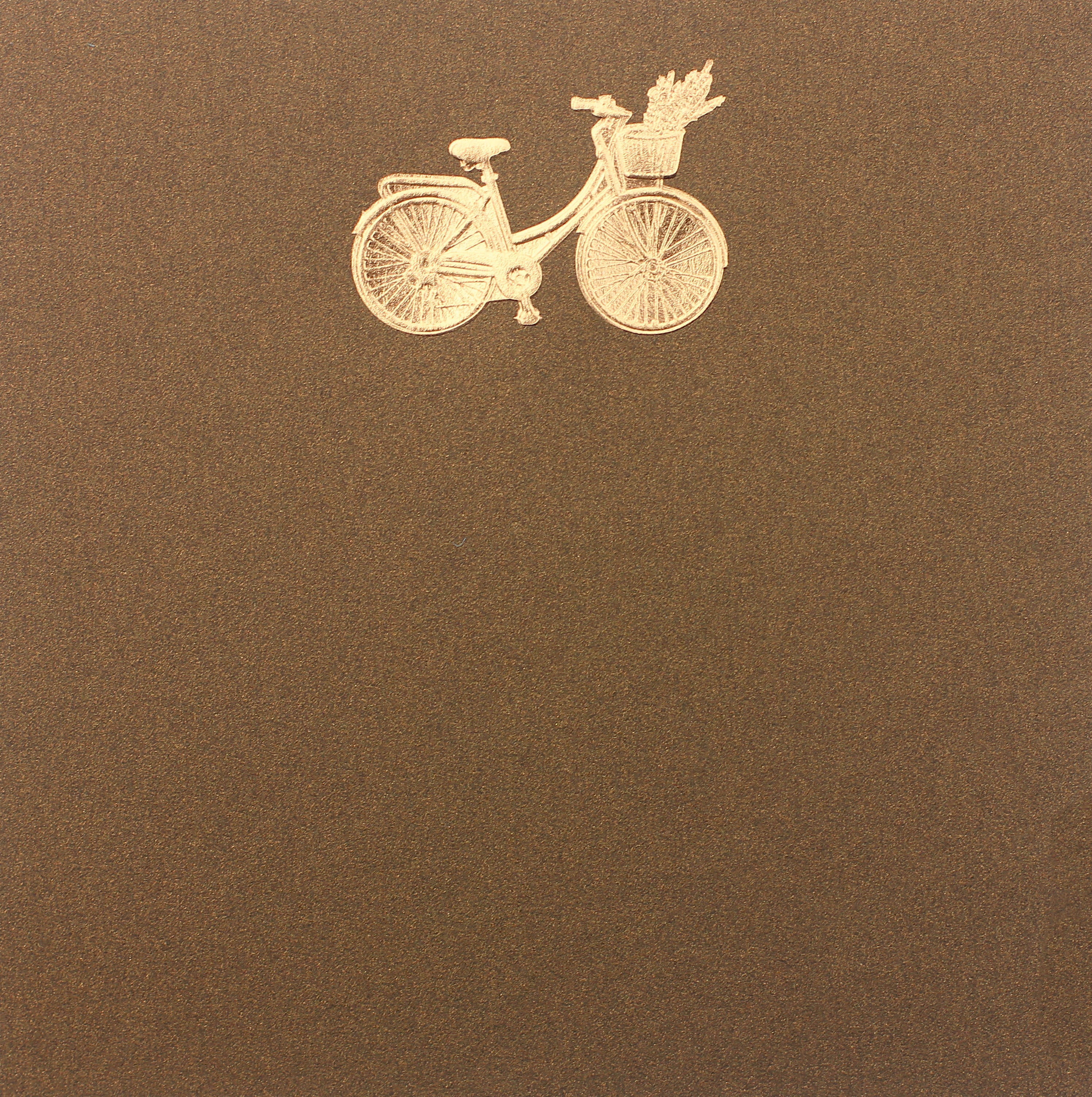 Large Bicycle Card