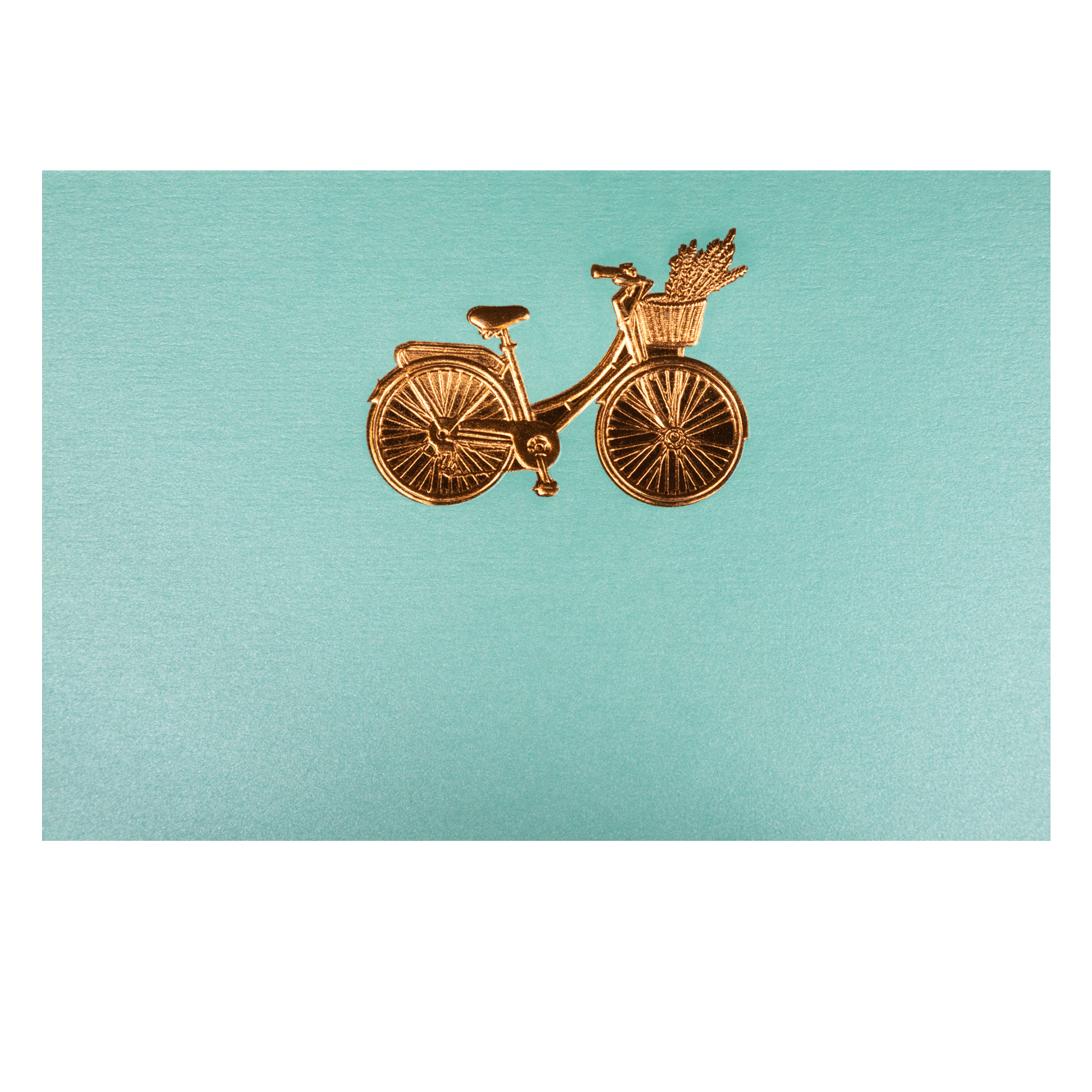 Estuche Tarjetas Bicicleta Premium