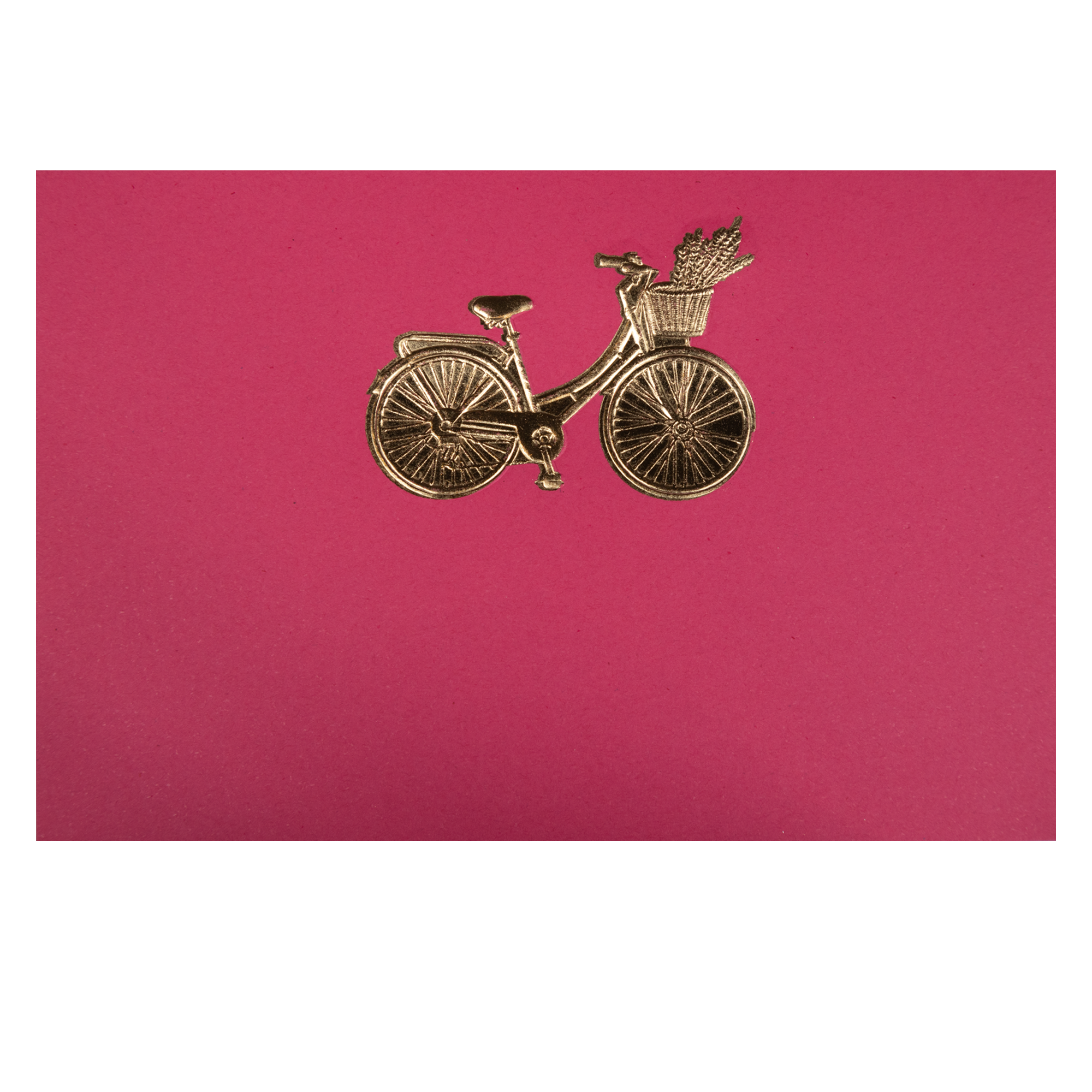 Tarjeta Bicicleta Mediana