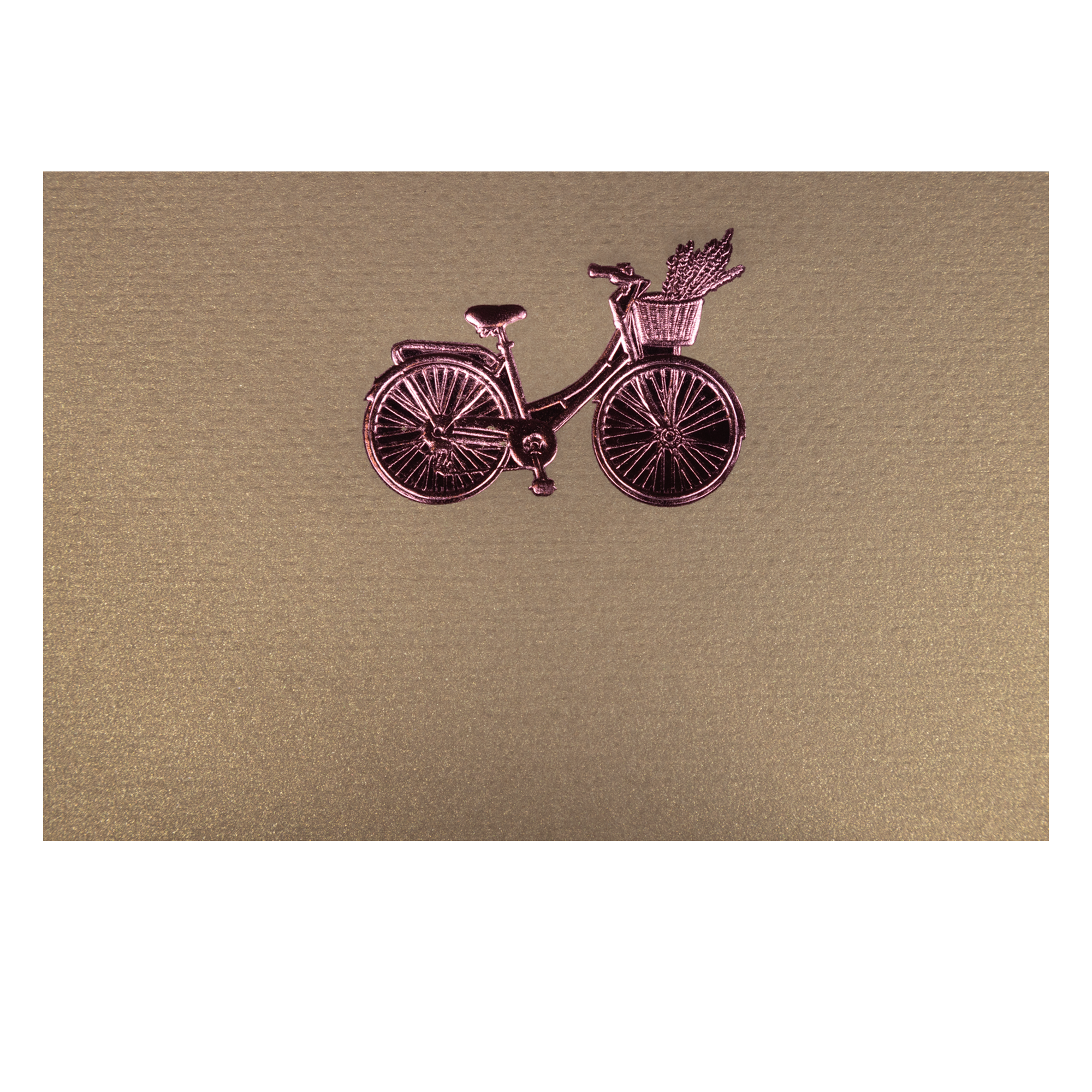 Tarjeta Bicicleta Mediana