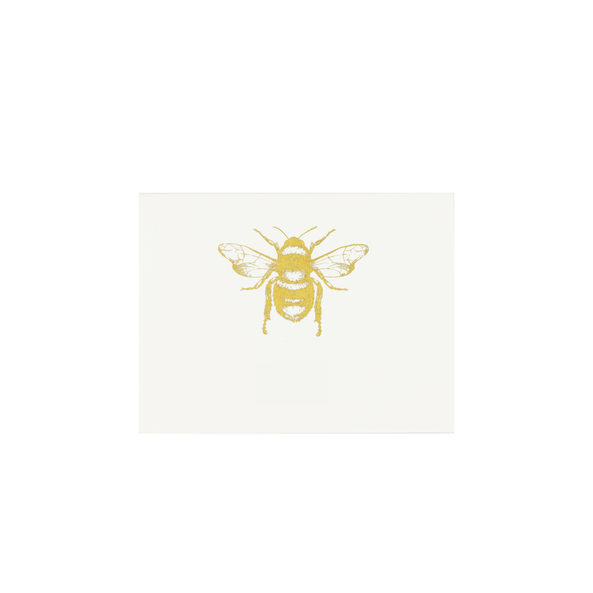 Bolo Abeja dorada estuche acrilico | C: Bolos | Scribanus