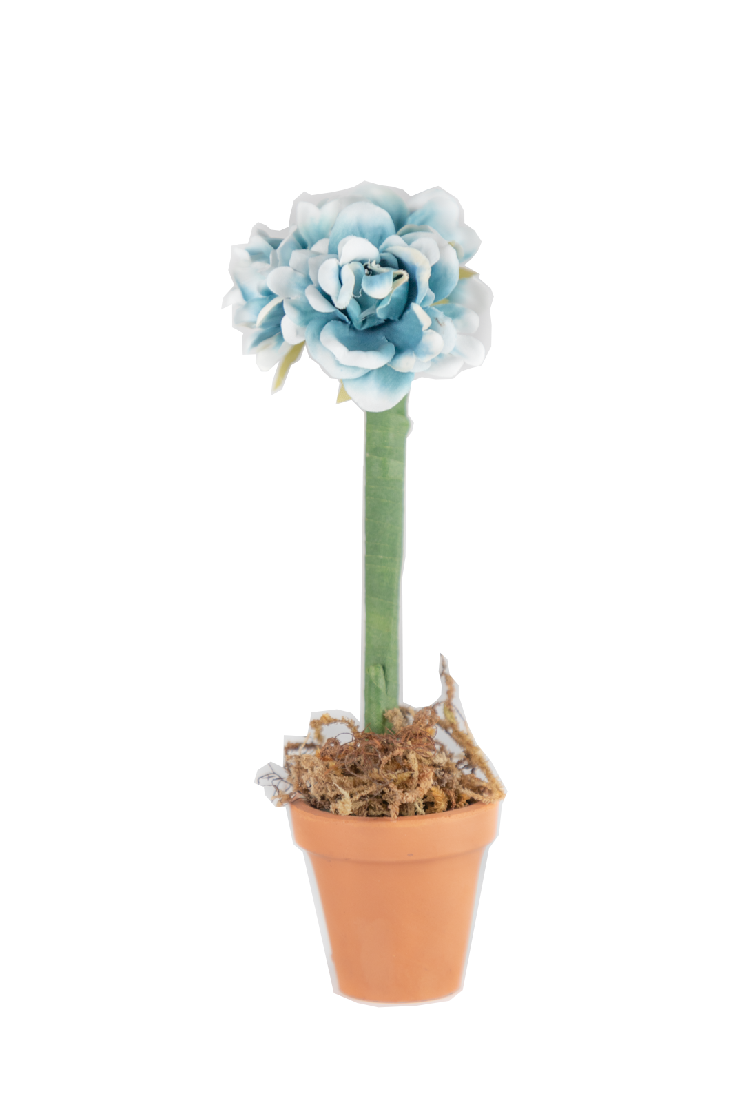 Bolos Maceta pluma Flores | C: Bolos | Scribanus
