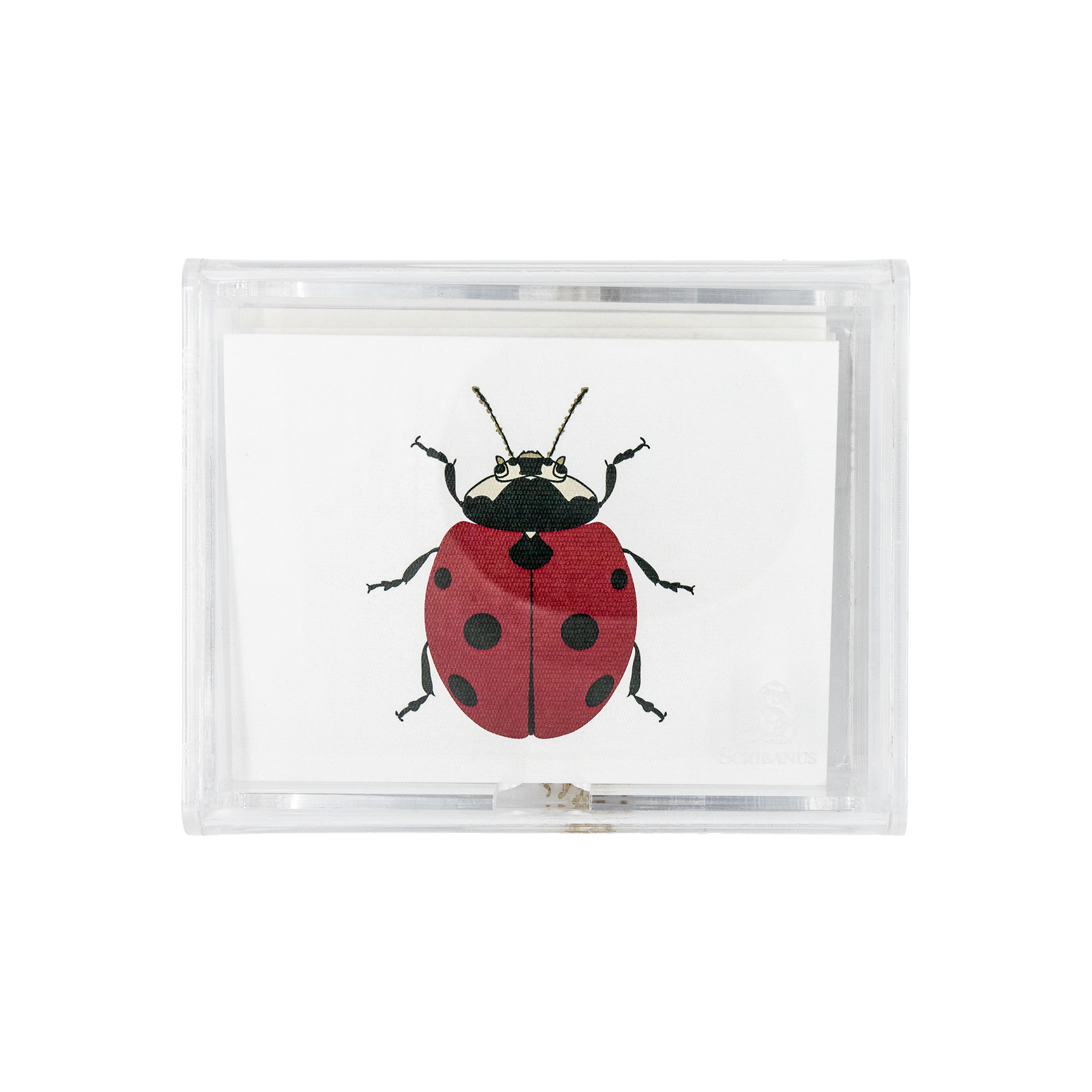 Caja acrílico Catarina print | CT: Cajas de Acrílico | Scribanus