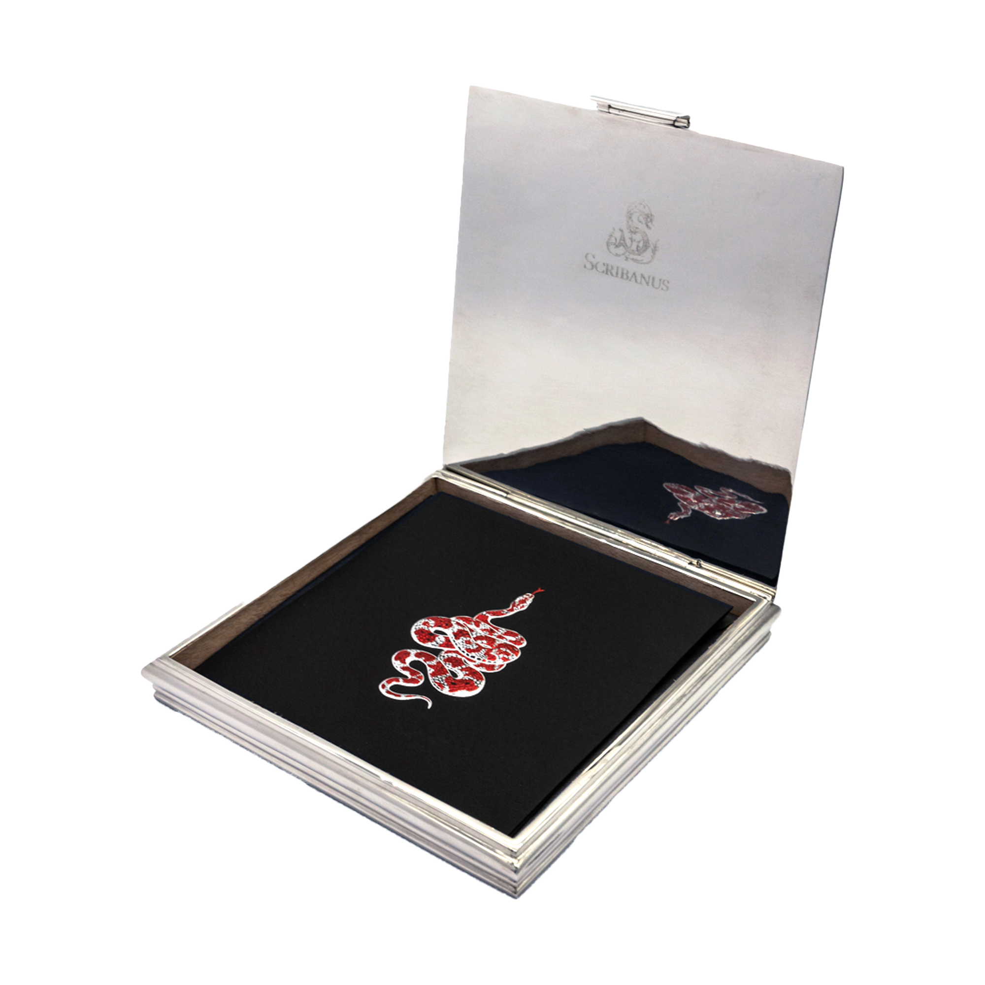 Caja Baño Plata Serpiente