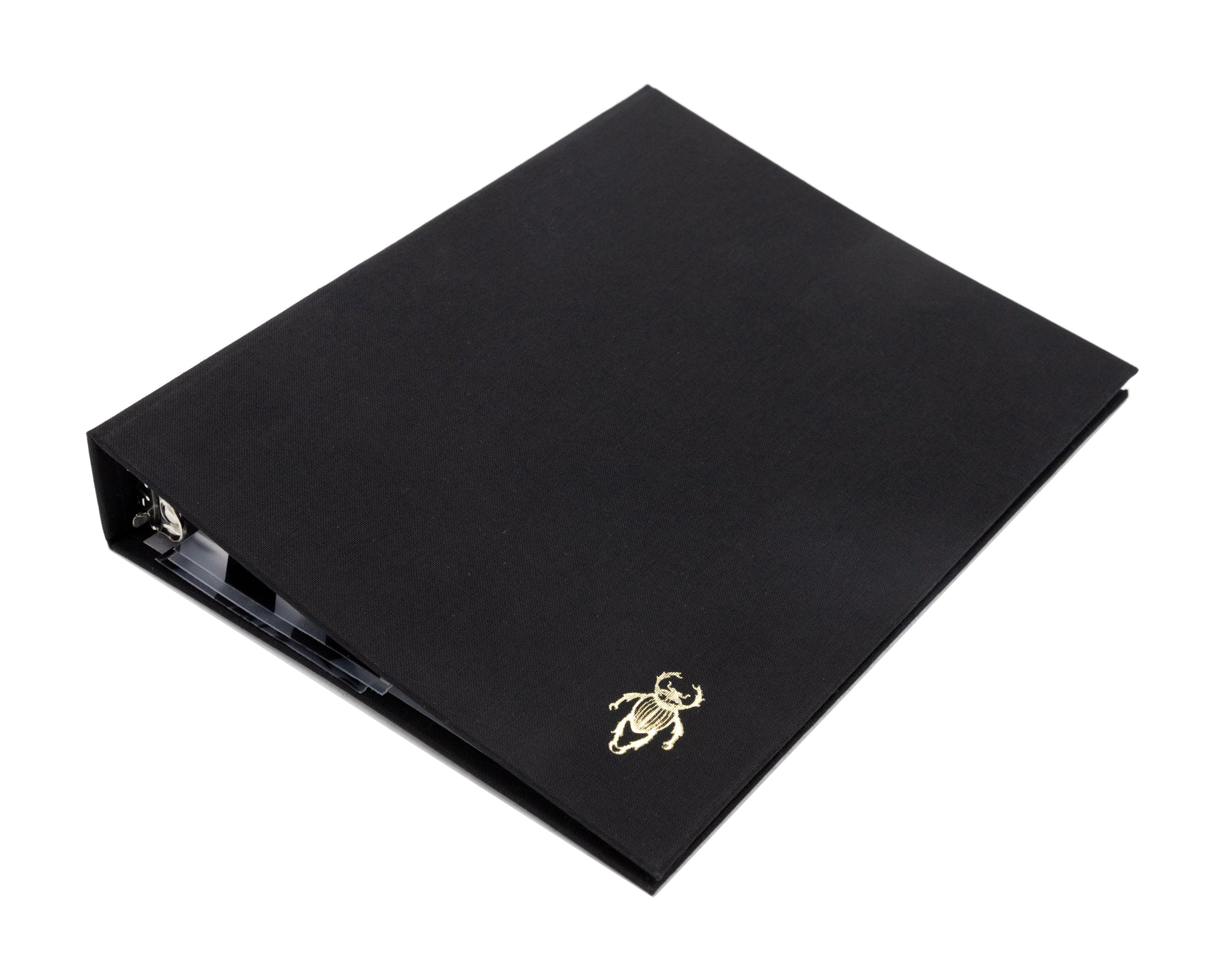 Carpeta Escarabajo | AP: Carpetas | Scribanus