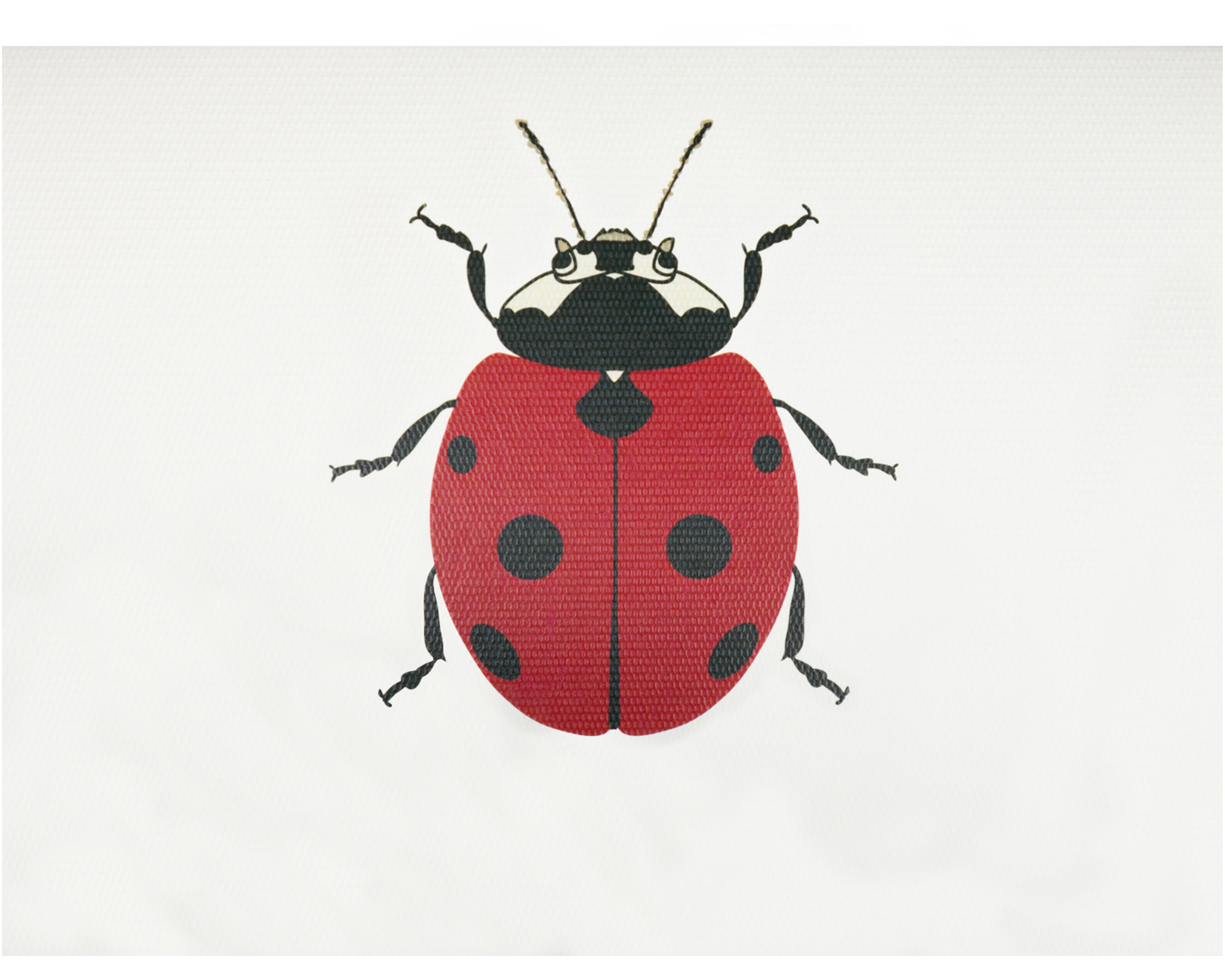 Tarjeta Catarina Mediana