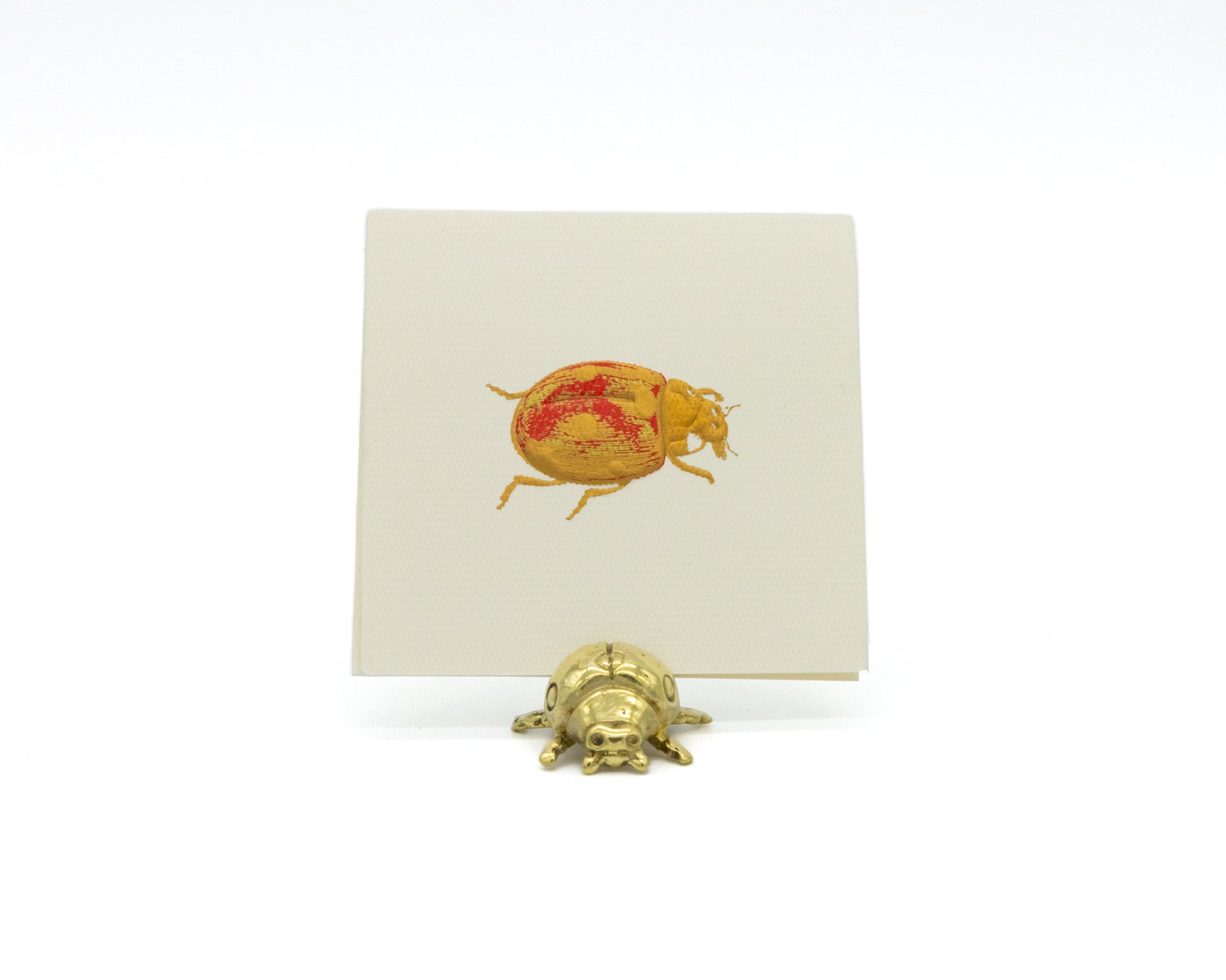 Place Cards Catarina