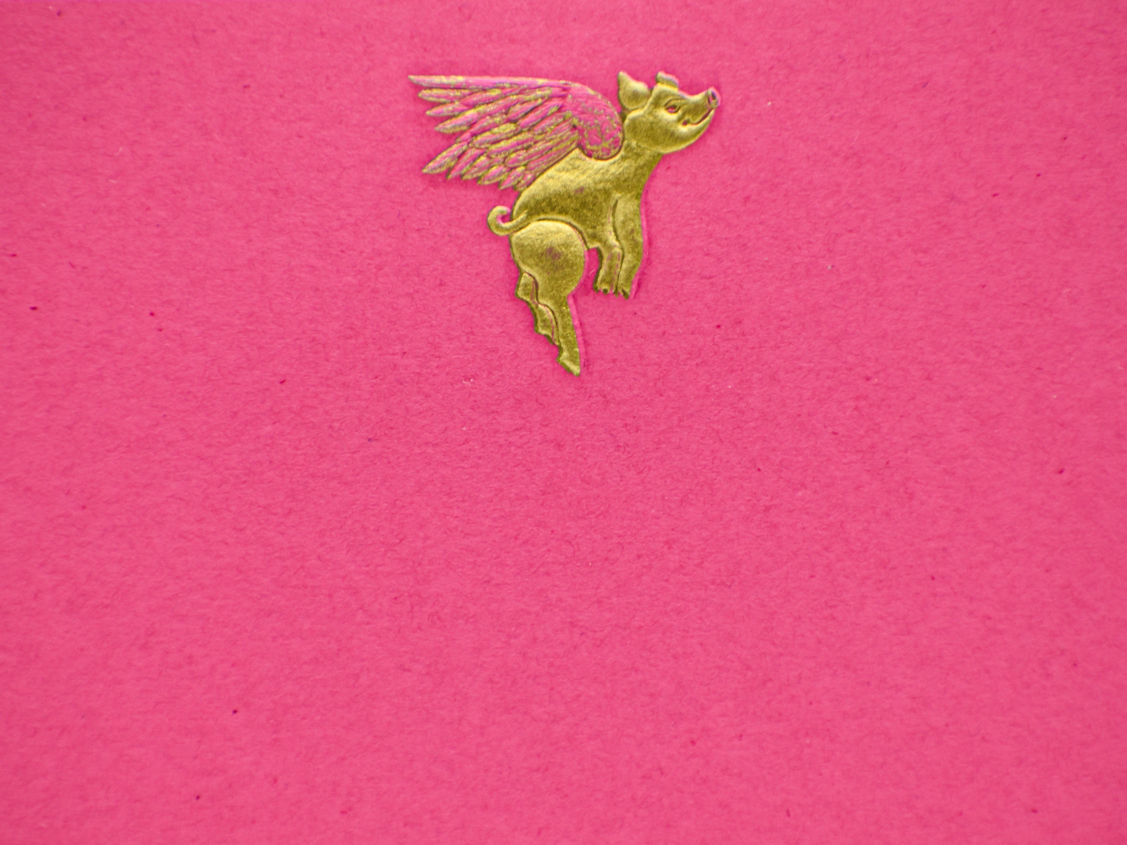 Simple Medium Winged Pig Card
