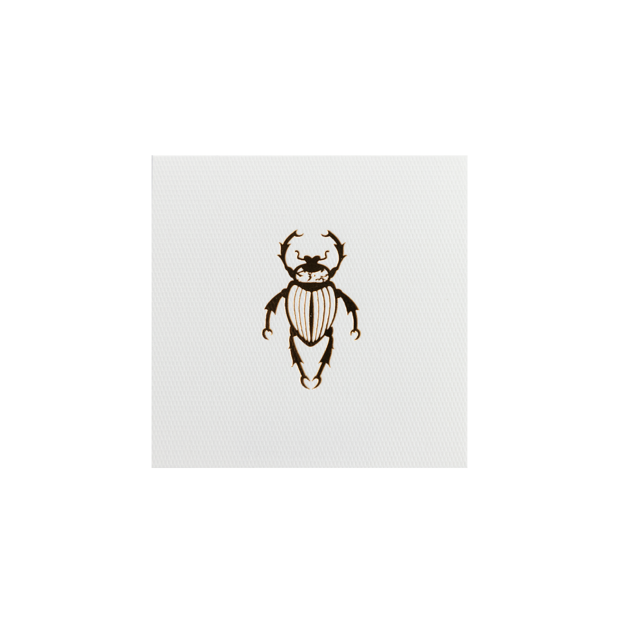 Tarjeta Escarabajo Grabado Mini Doble