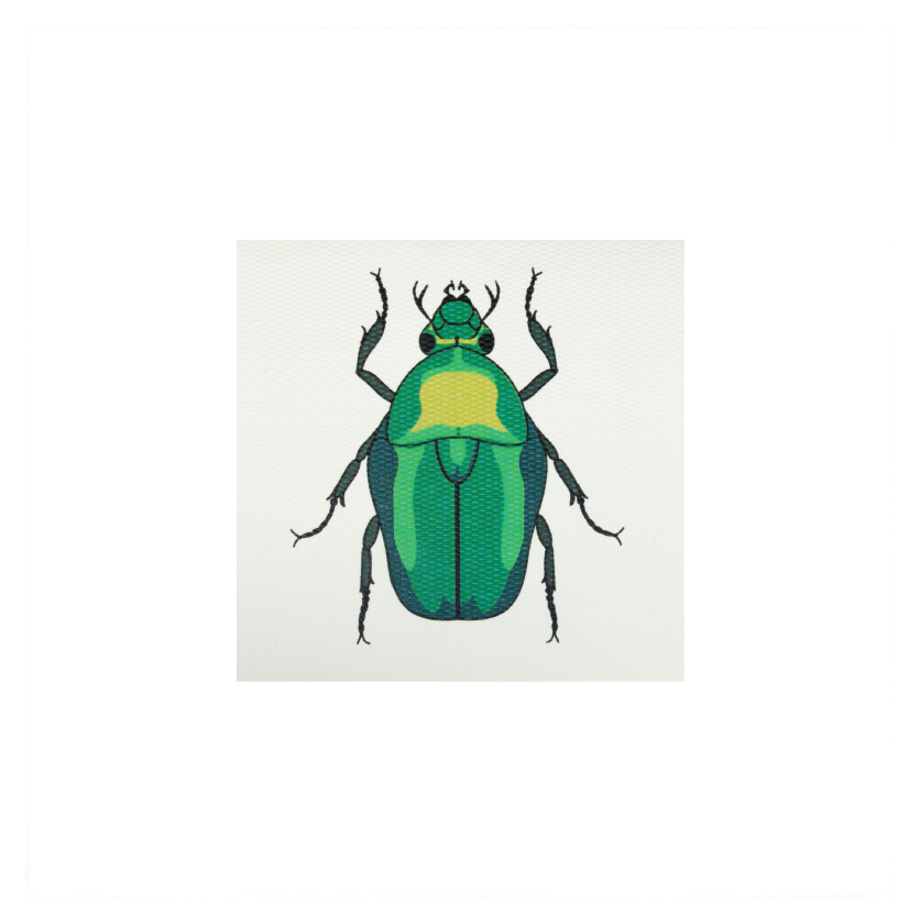 Tarjeta Escarabajo Mini
