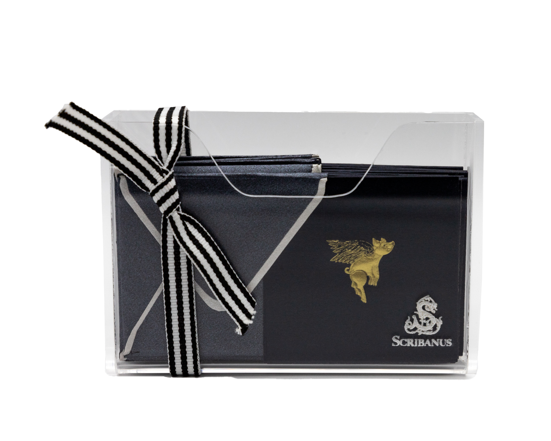 Estuche acrilico Cerdito Alas mini | CT: Cajas de Acrílico | Scribanus