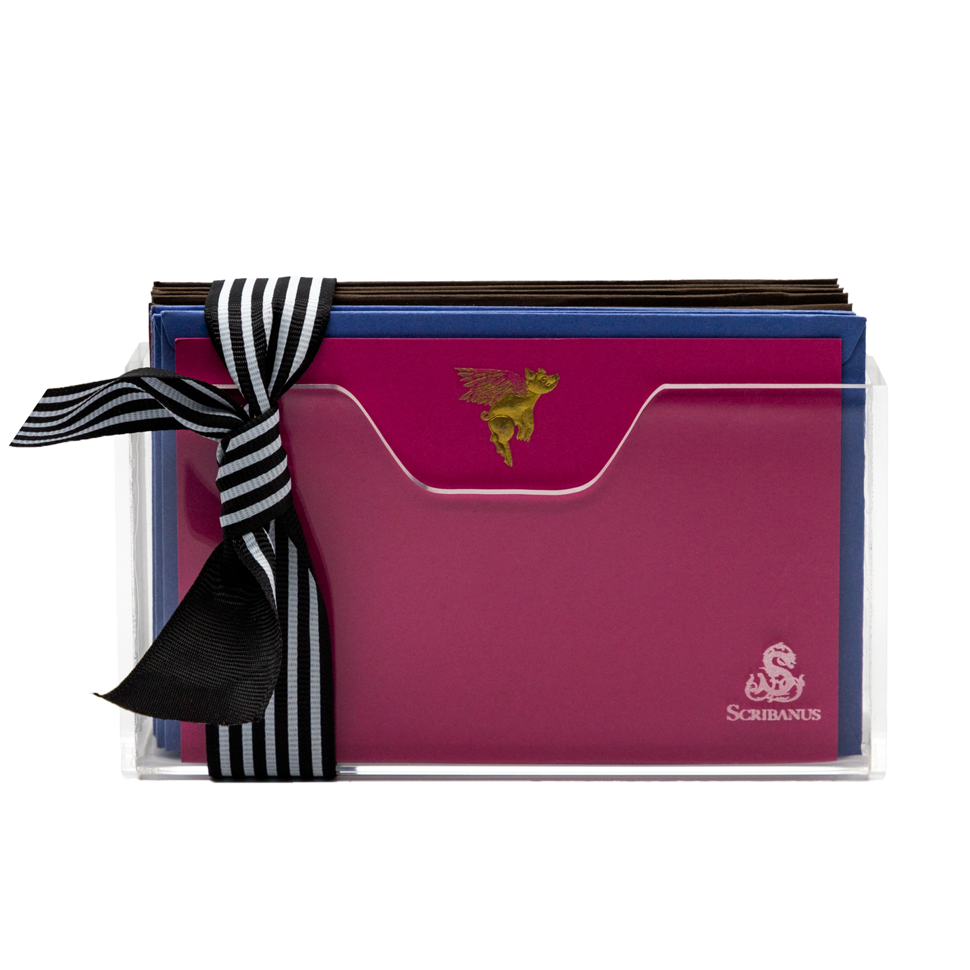 Estuche acrilico Cerdito con Alas | CT: Cajas de Acrílico | Scribanus