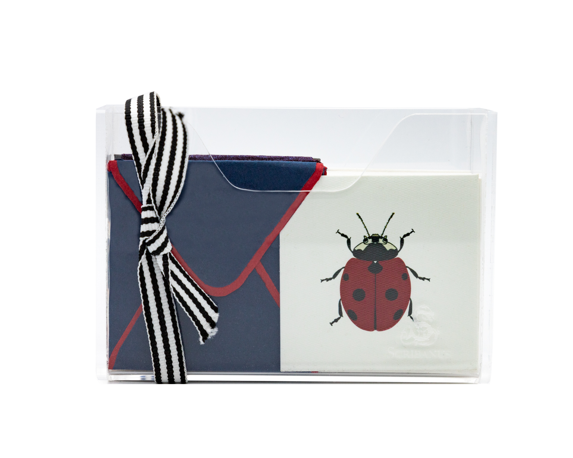 Estuche acrilico Insectos surtida mini | CT: Cajas de Acrílico | Scribanus