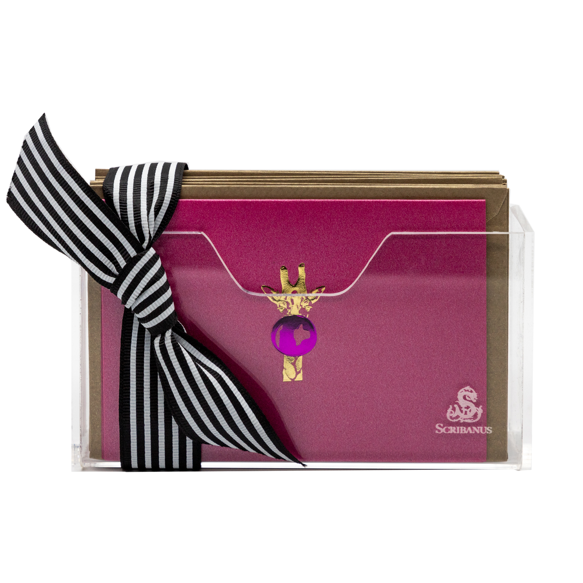 Estuche acrilico Jirafa | CT: Cajas de Acrílico | Scribanus