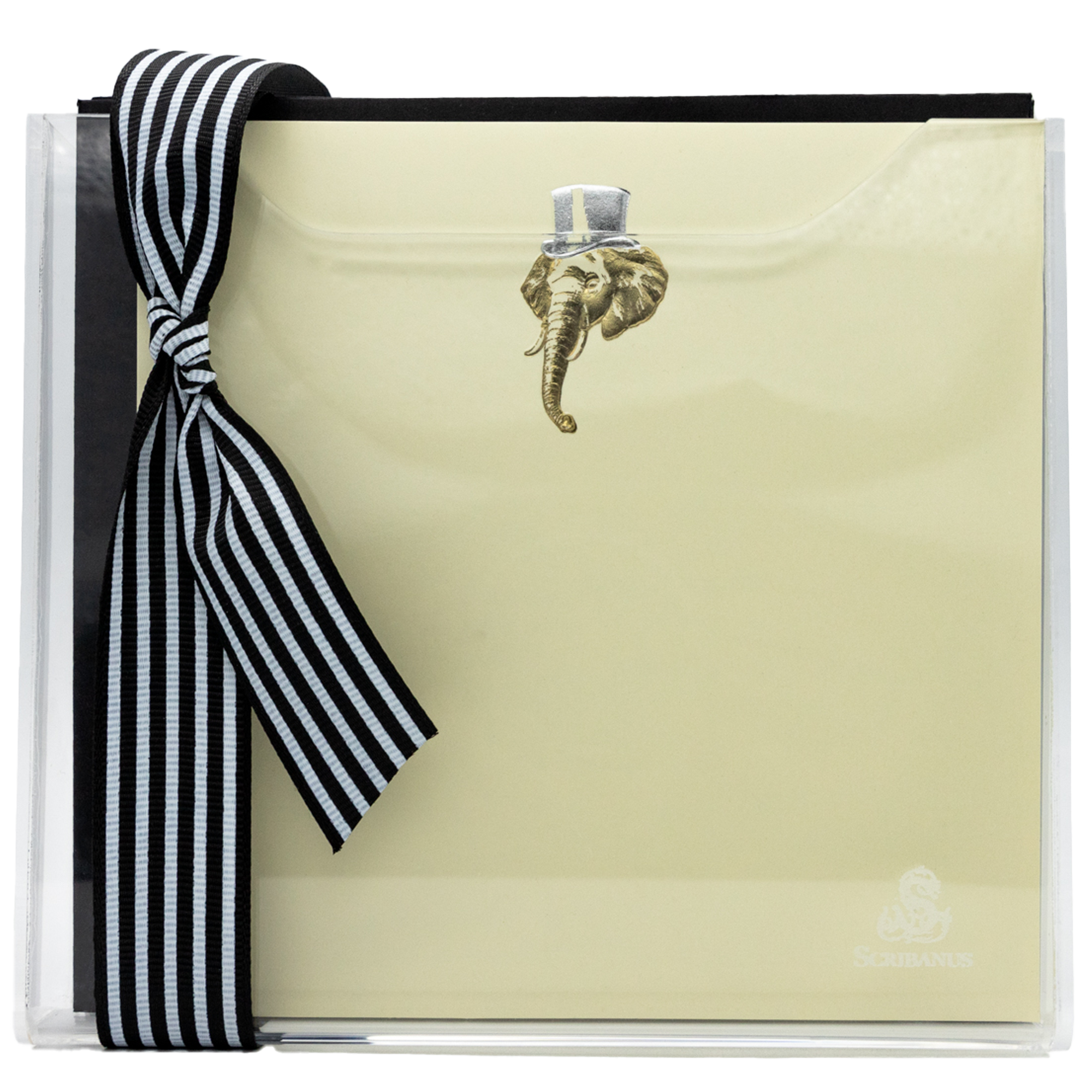 Estuche acrílico grande Elefante | CT: Cajas de Acrílico | Scribanus