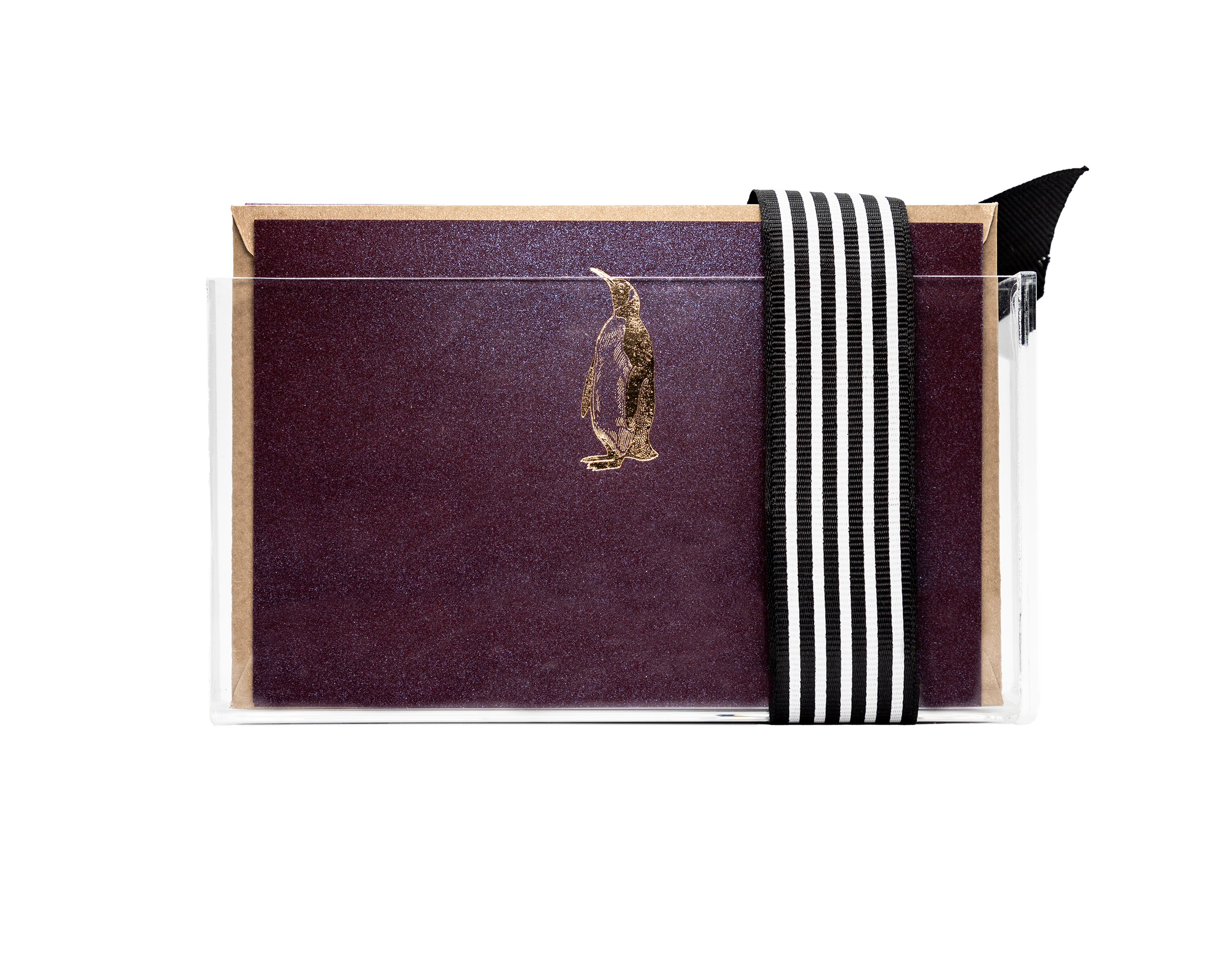 Estuche acrílico Pingüino