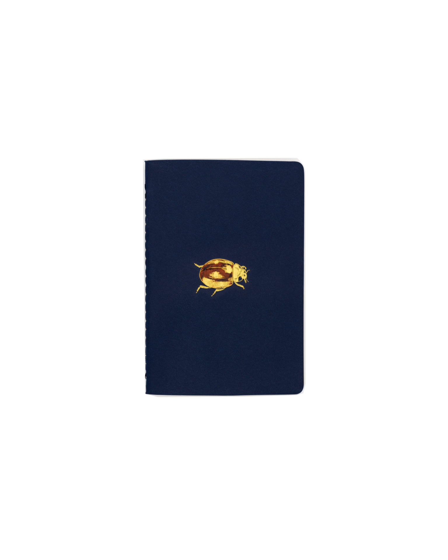 Pocket Notebook Catarina