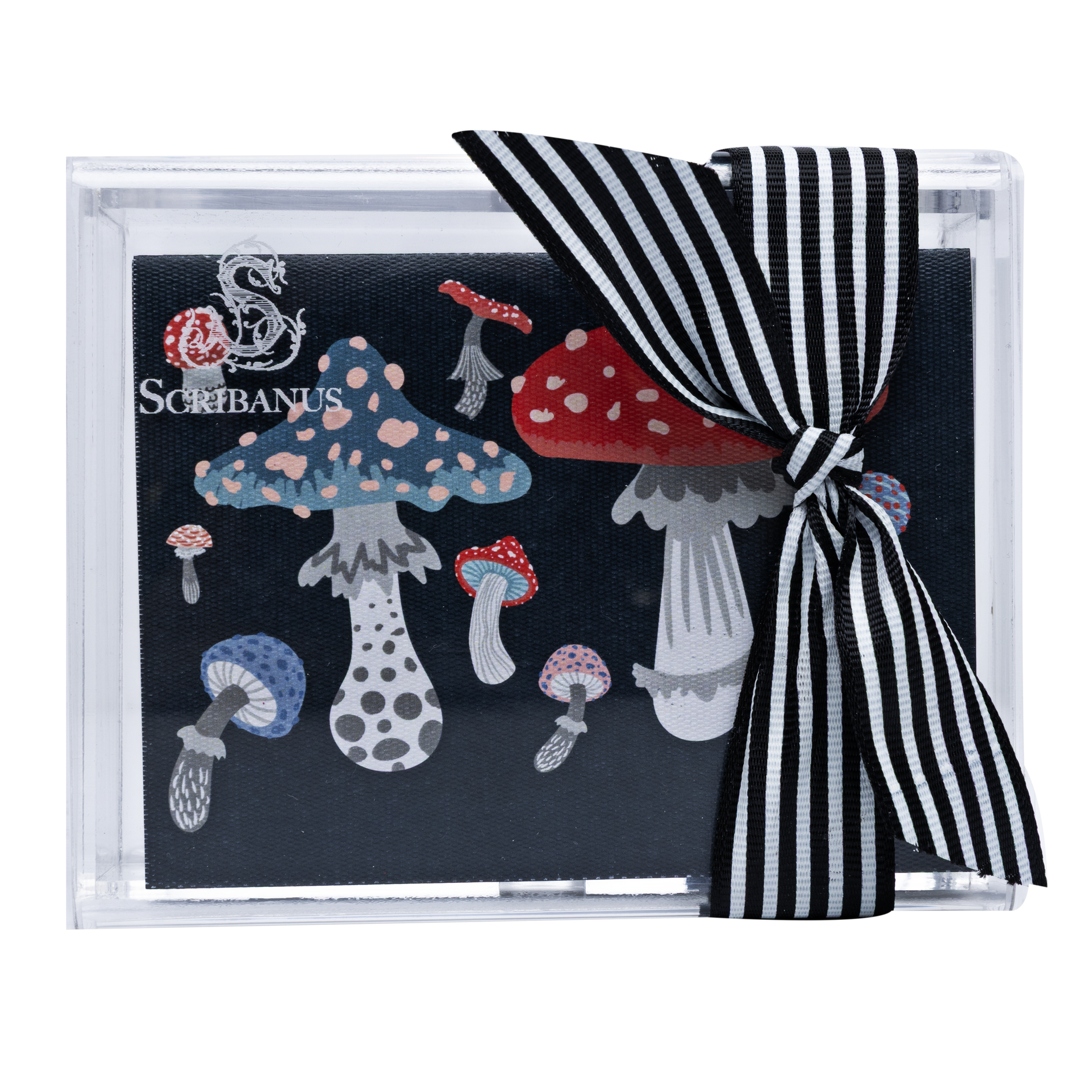 Caja Acrílico Tarjetas Hongos