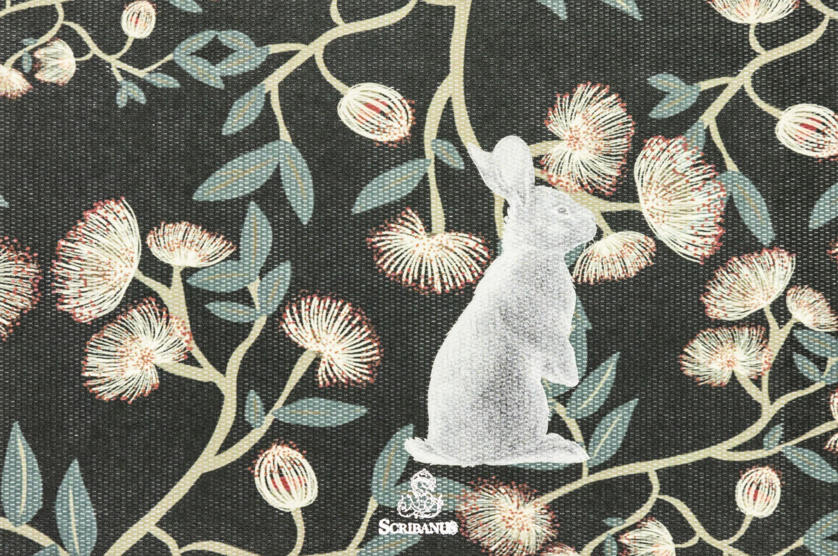 Leucus | IM: Idílicos | Scribanus