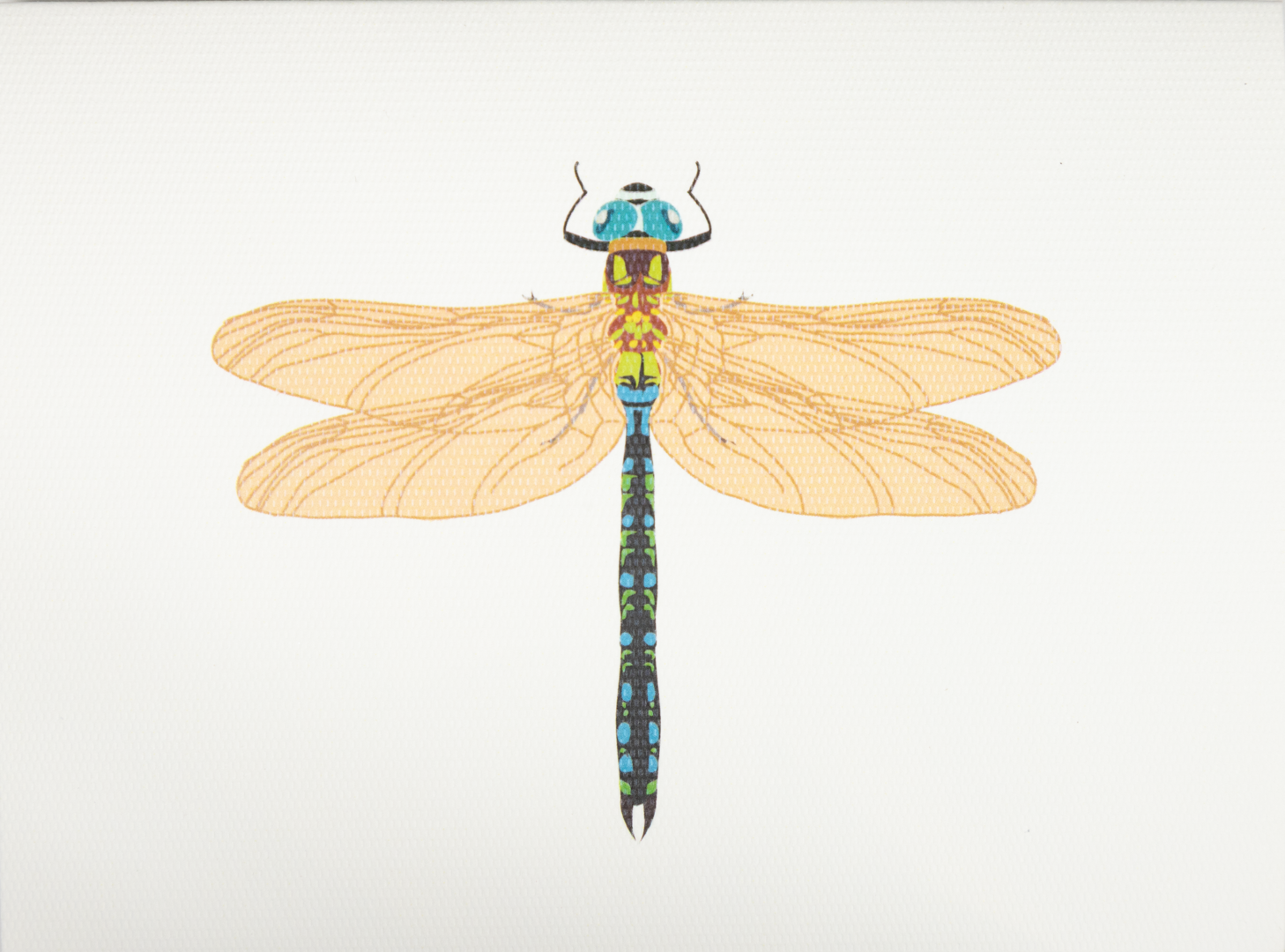 Medium Dragonfly Card