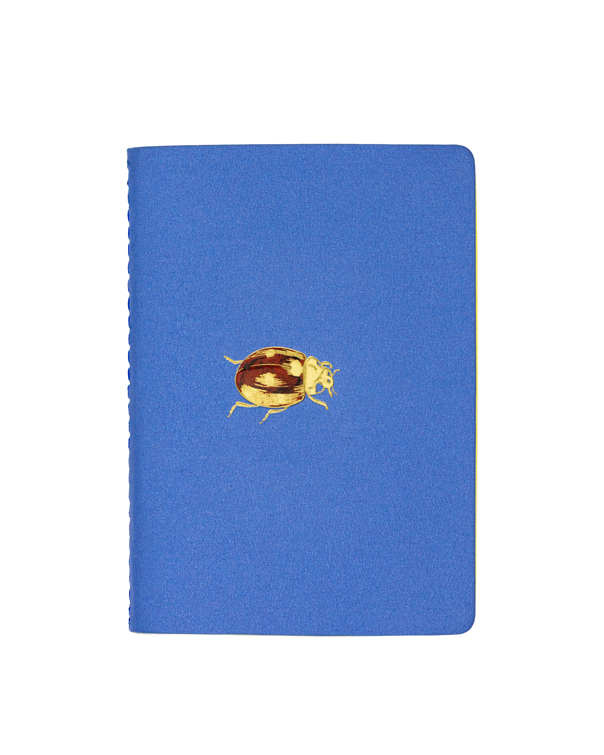 Libreta Bolsillo Catarina | AP: Libretas | Scribanus