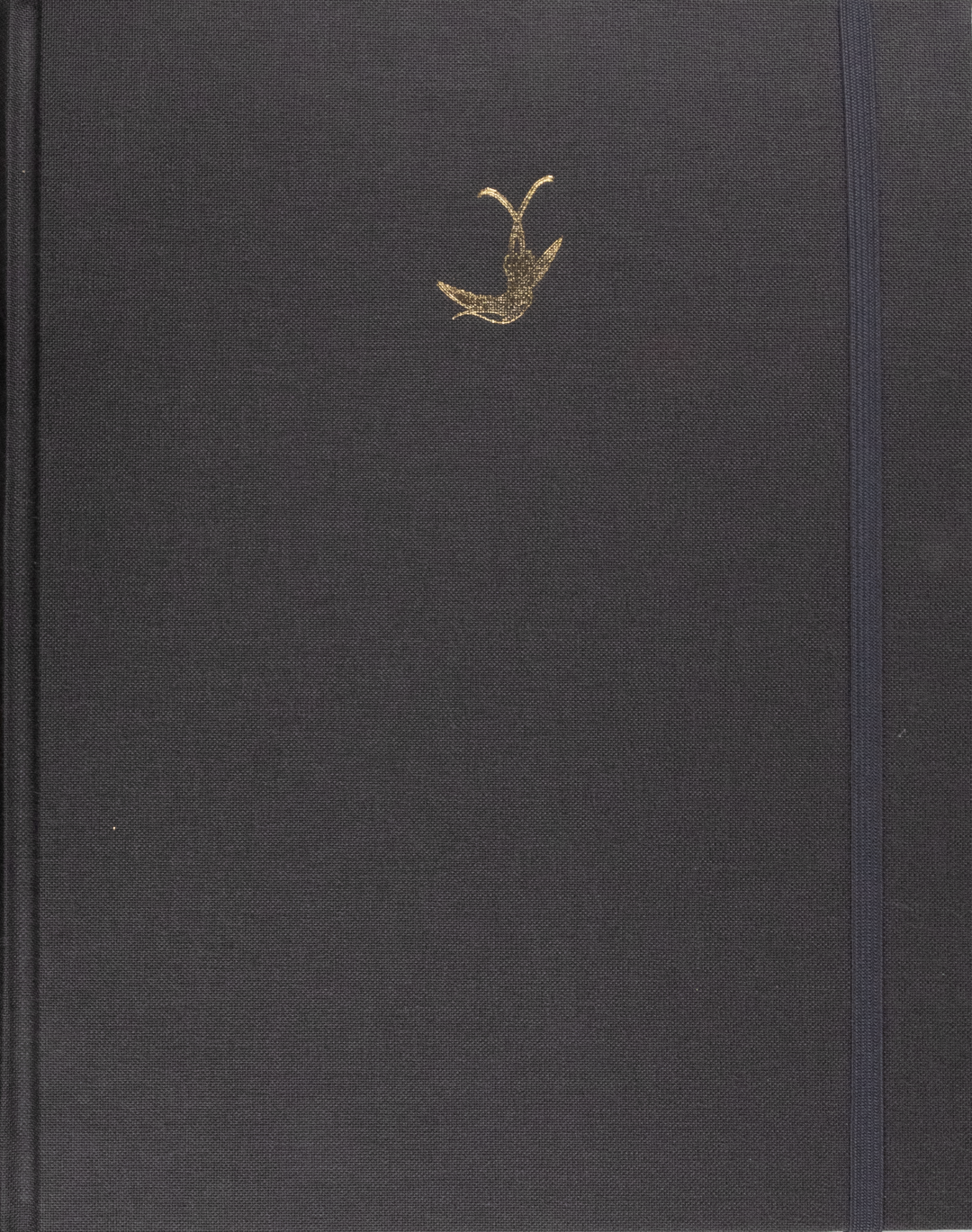 Libreta Insectos / Naturaleza | AP: Libretas | Scribanus