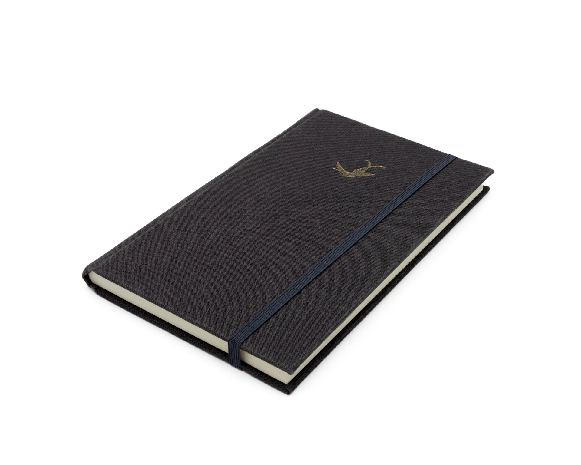 Insects / Nature Notebook