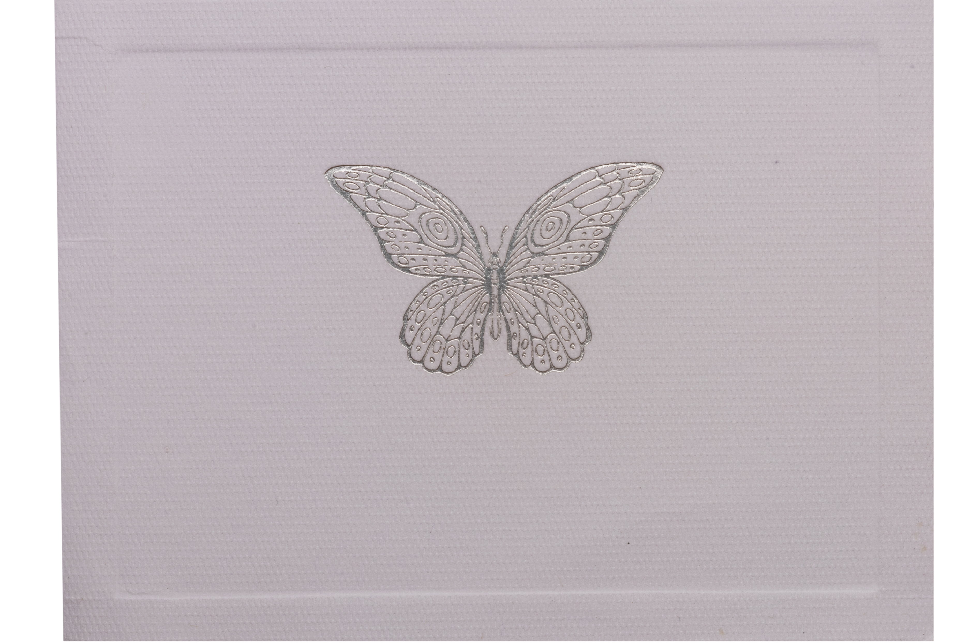 Tarjeta Mariposa Chica