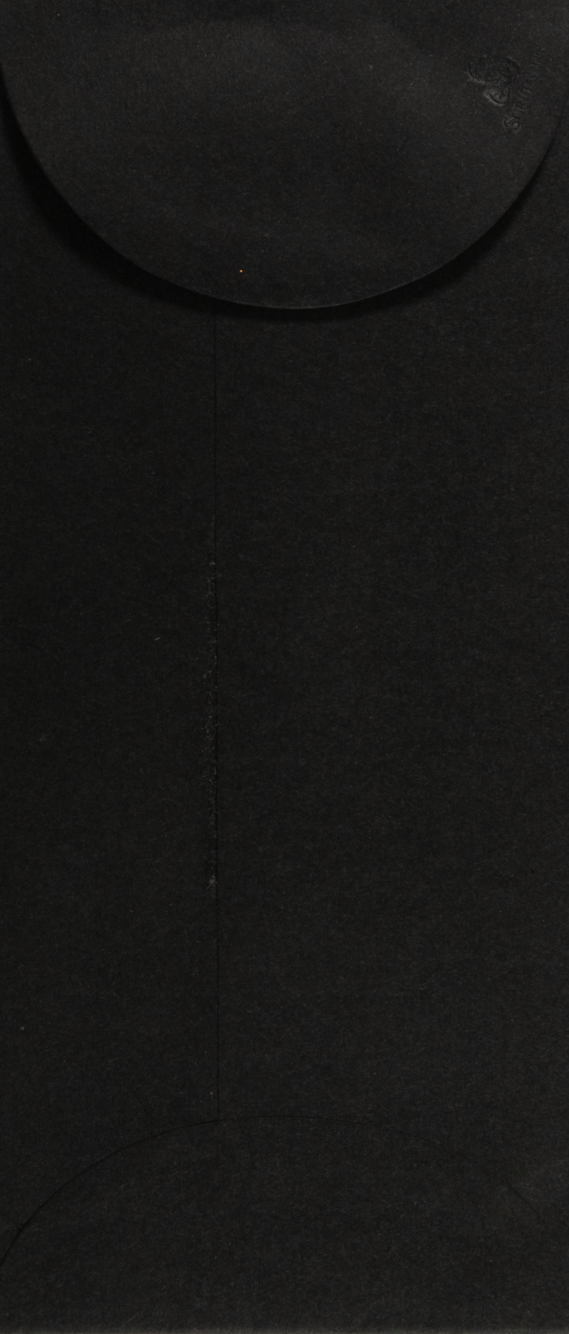 On Money Engraved Black Beetle