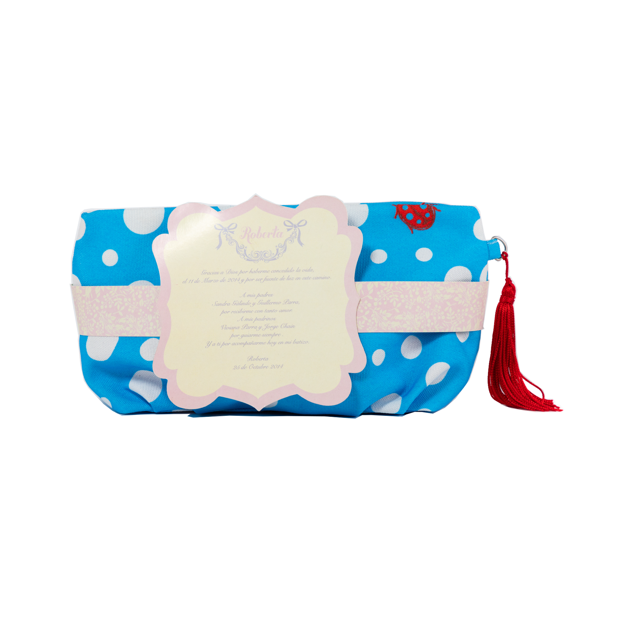 Bowling Case PKD Cloth Ladybugs