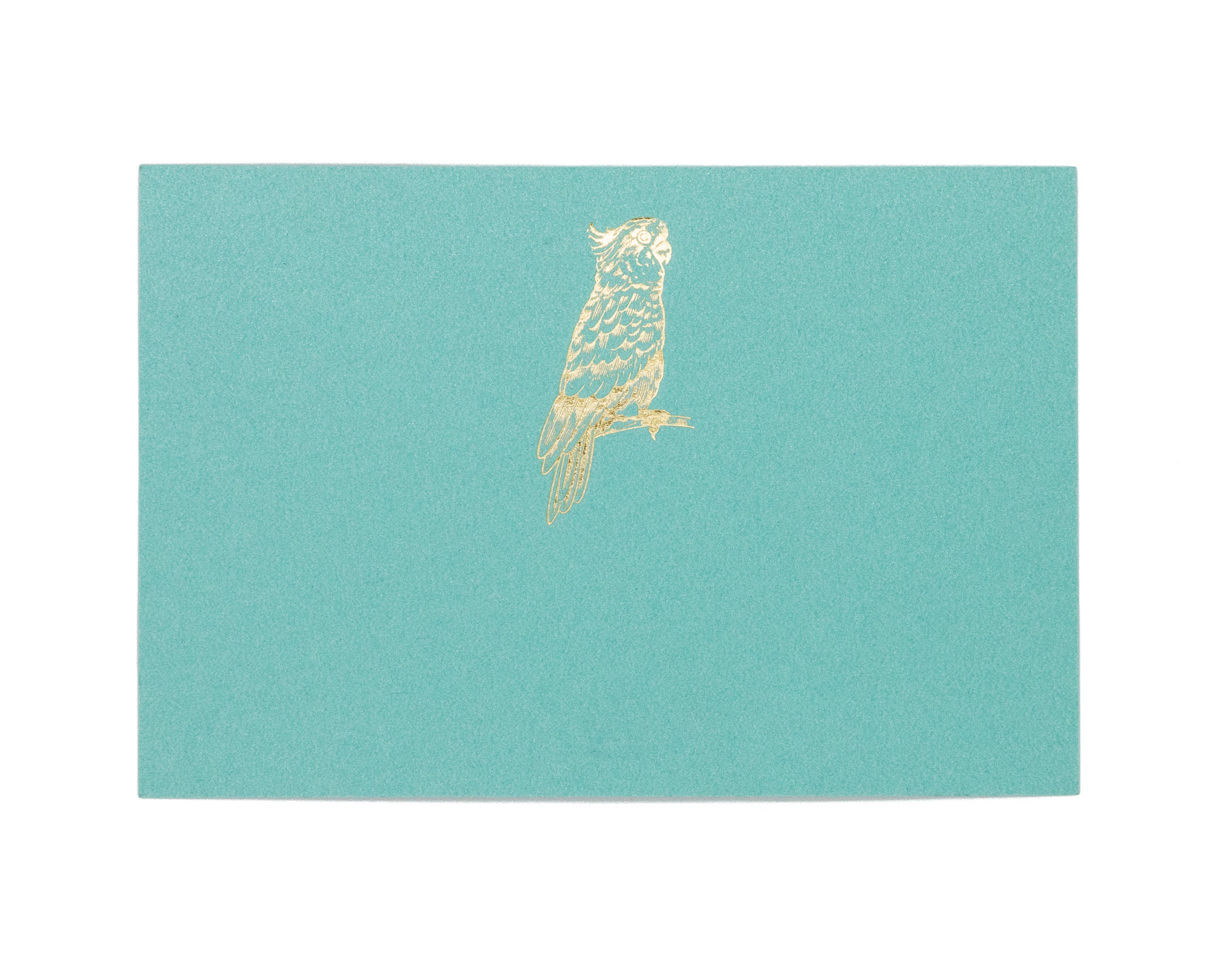Single Medium Perico Card