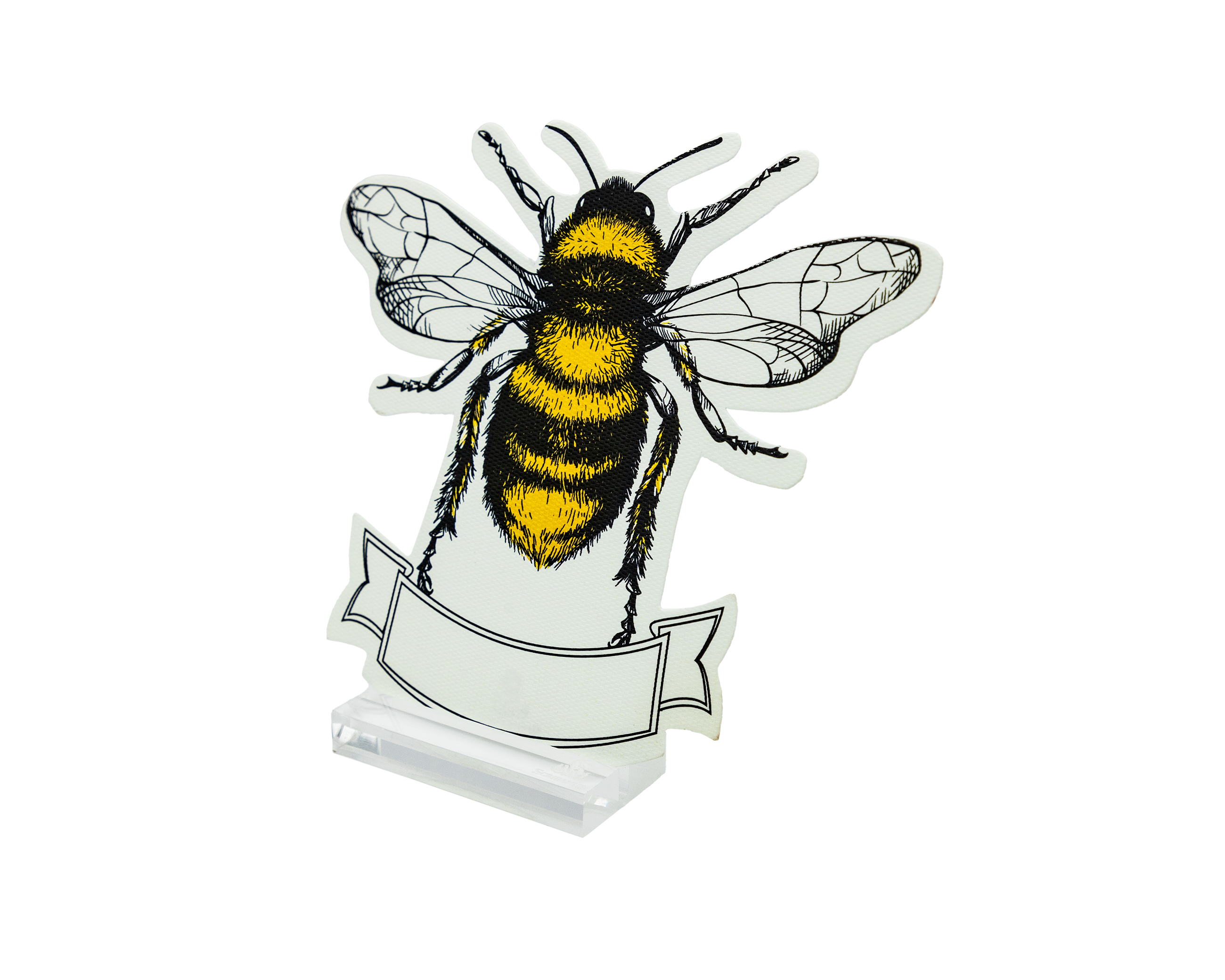 Place Cards Insectos Surtido | M: Place Cards | Scribanus
