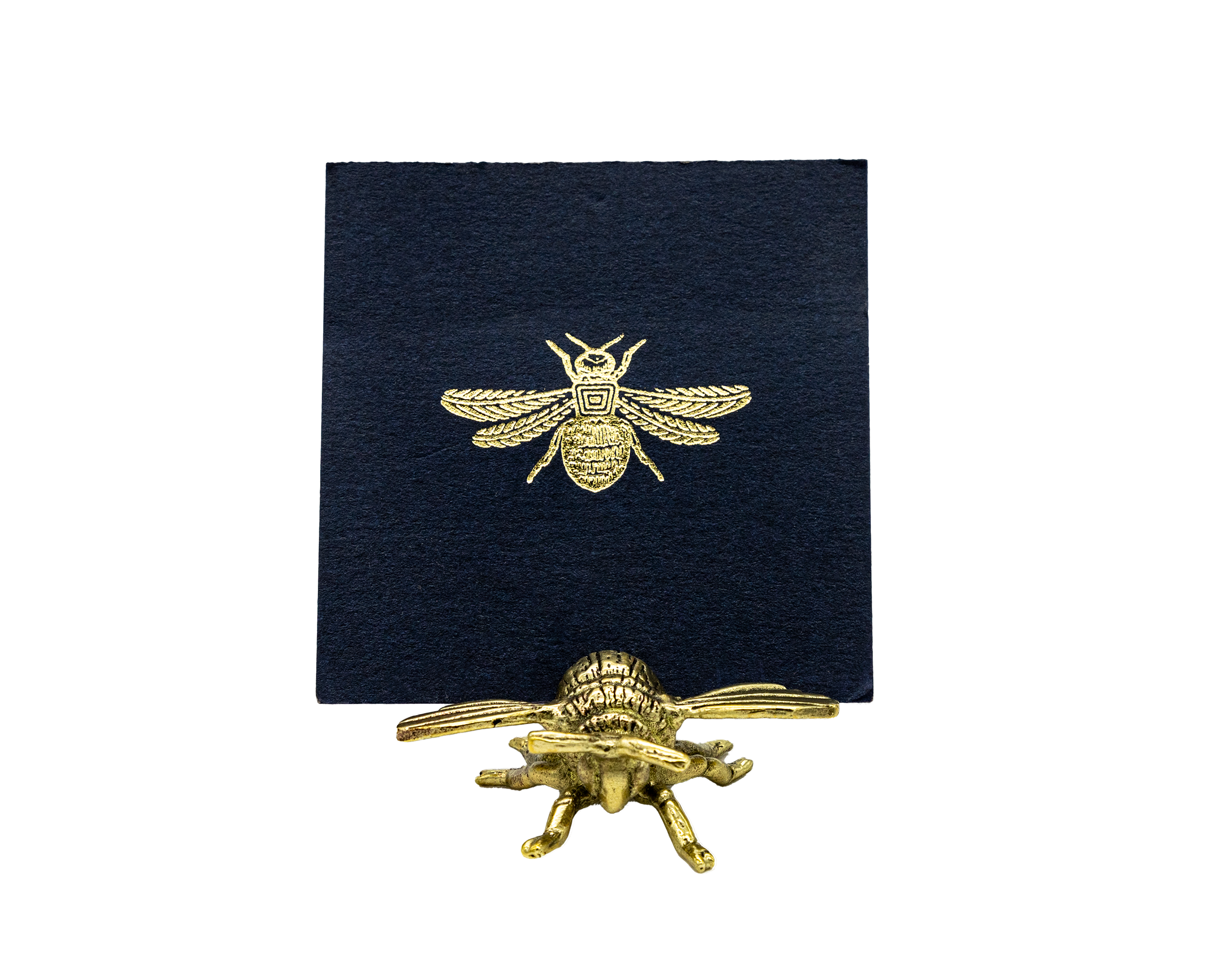 Place Cards Abeja Negras