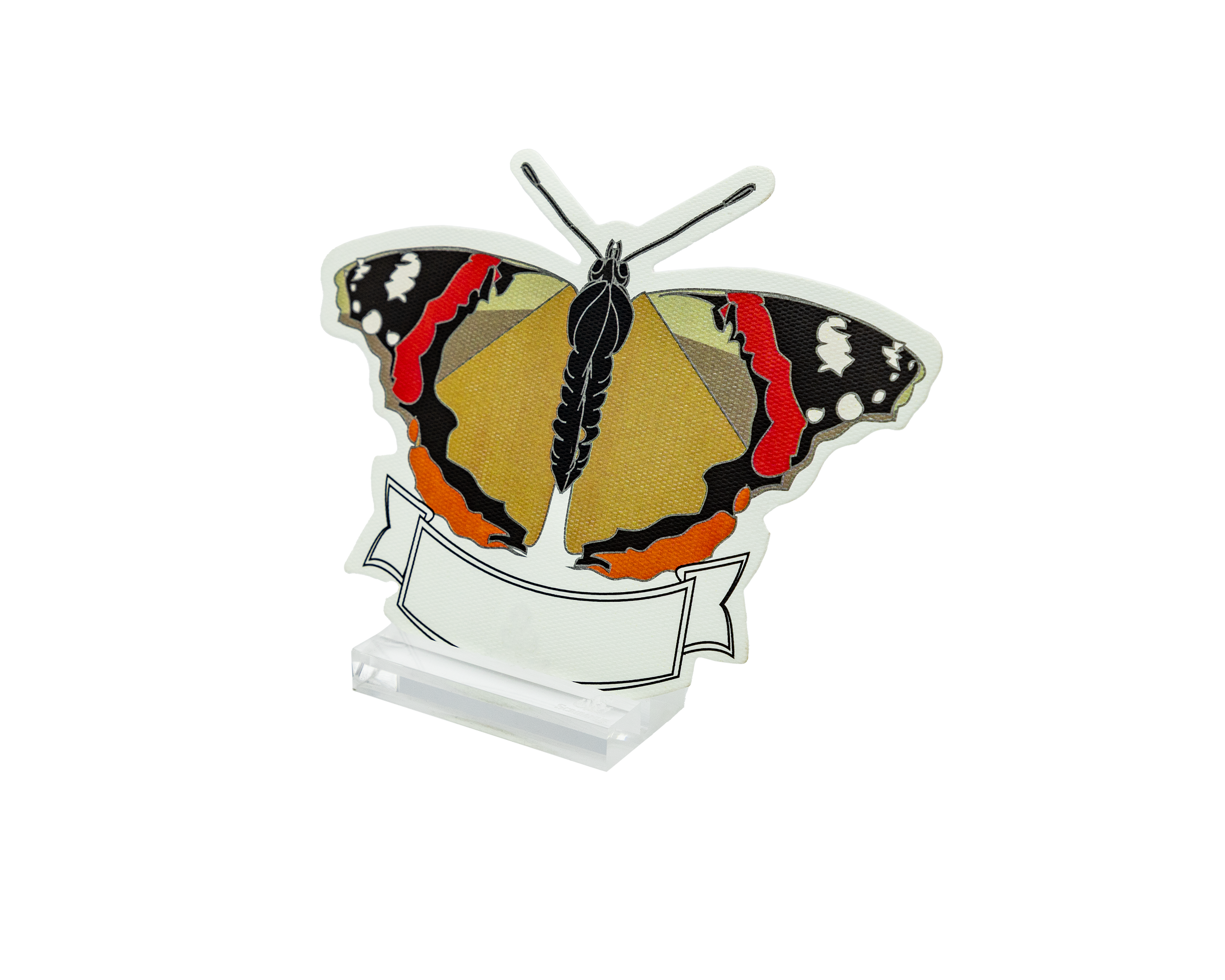 Place Cards Insectos Surtido