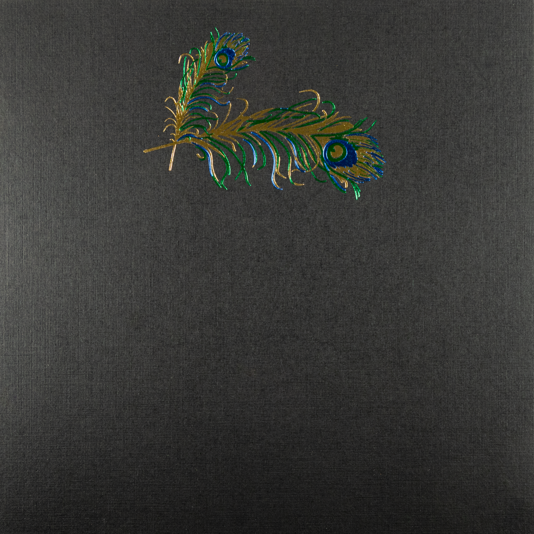 Tarjeta Plumas Pavorreal Grande