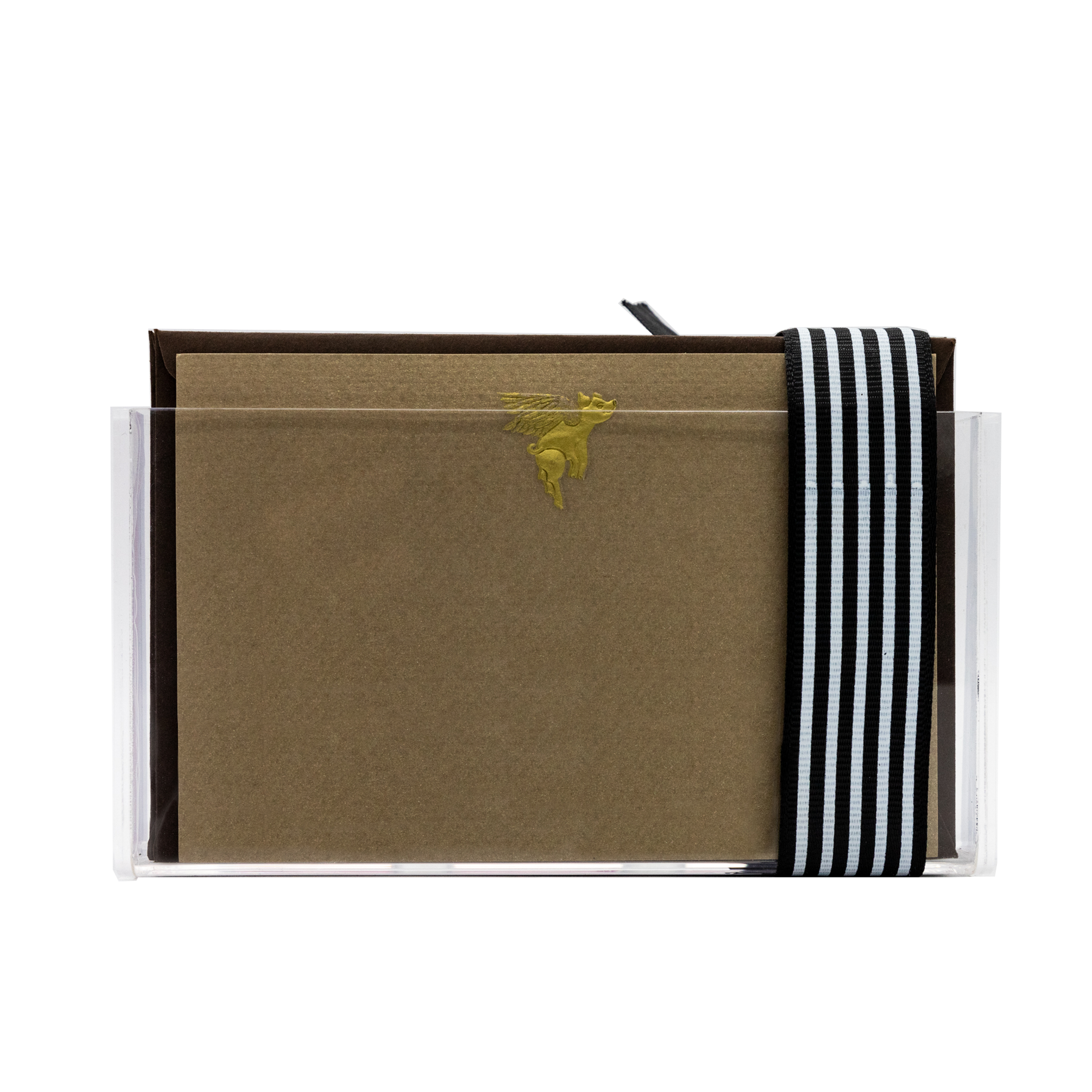 Estuche acrilico Cerdito con Alas