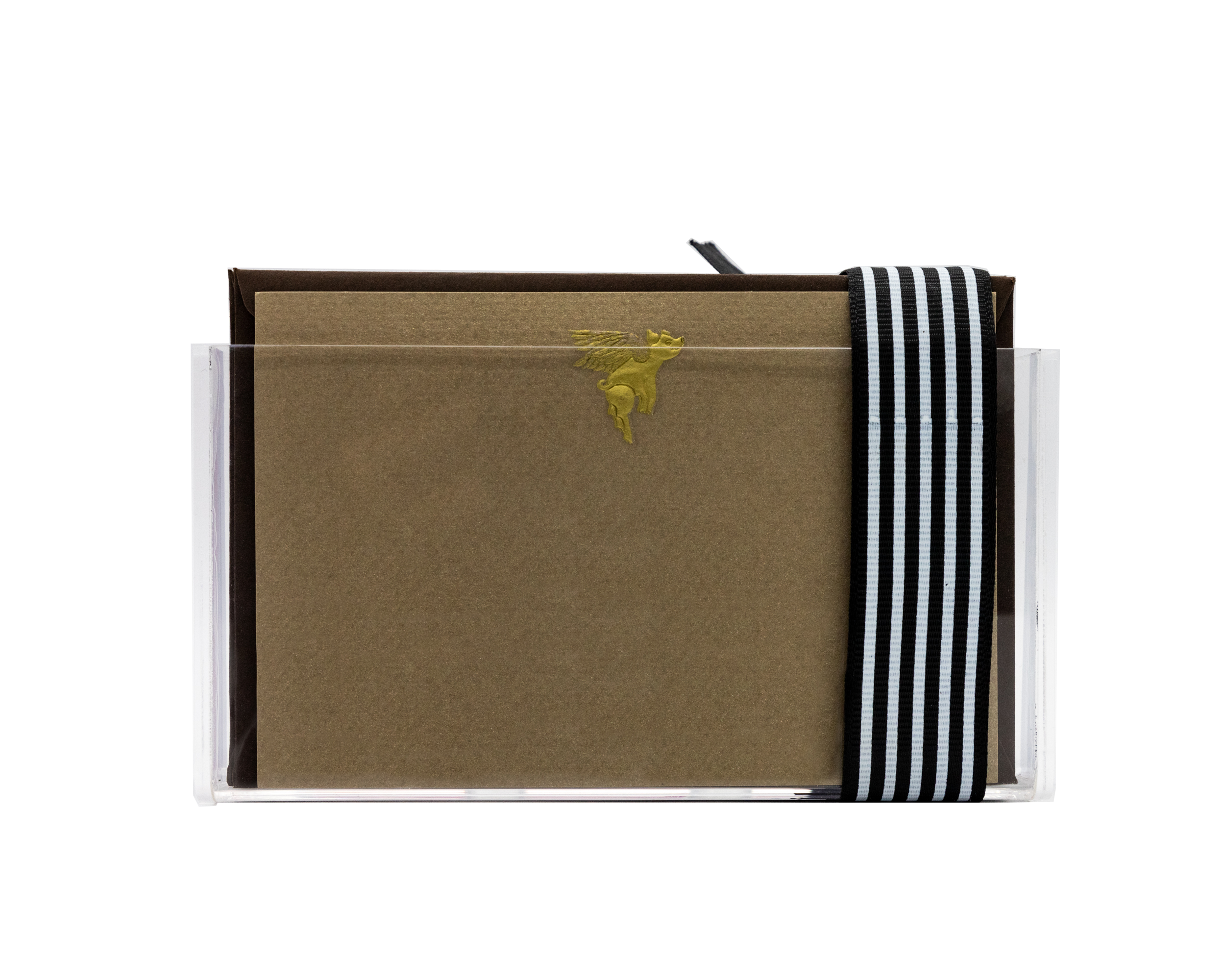 Estuche Mediano Acrilico Cerdito con Alas