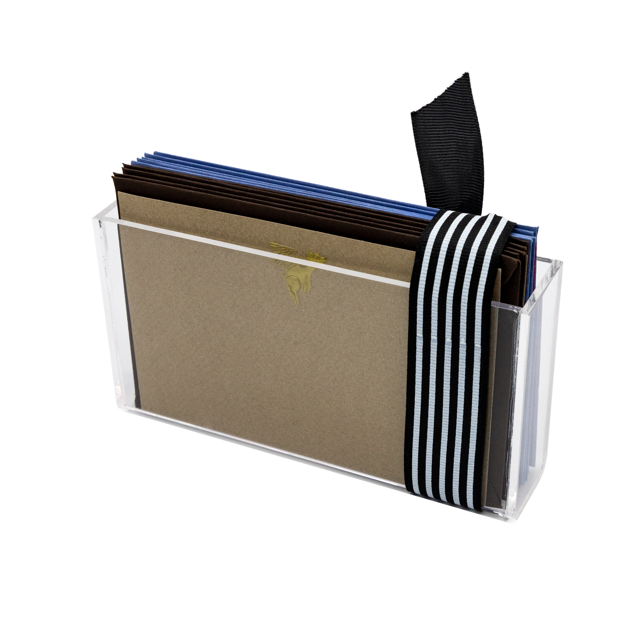 Estuche acrilico Cerdito con Alas