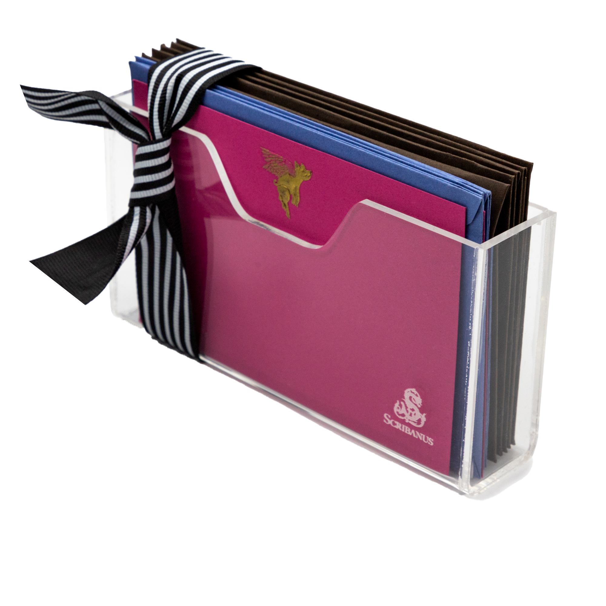 Estuche acrilico Cerdito con Alas