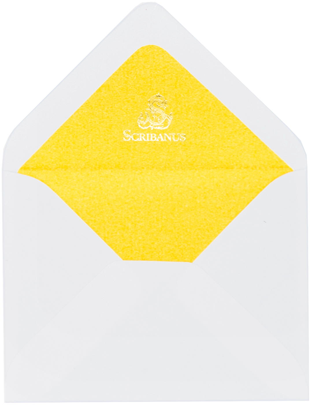 Sobre Chico Blanco Forro