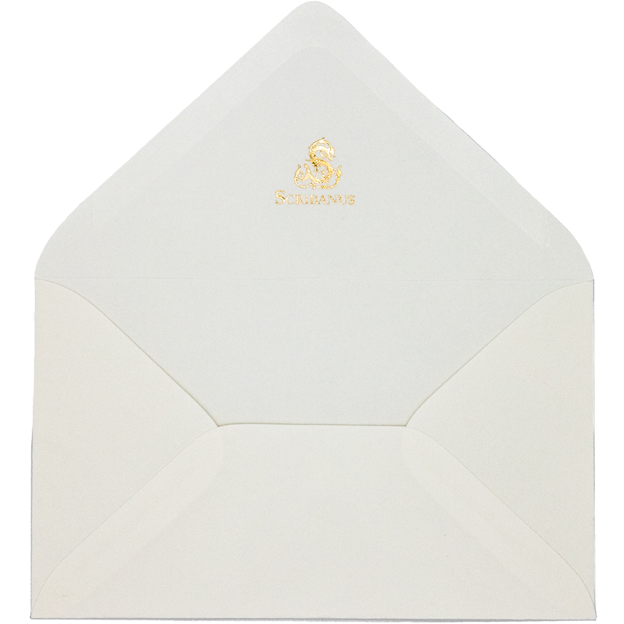 Plain Medium Envelopes
